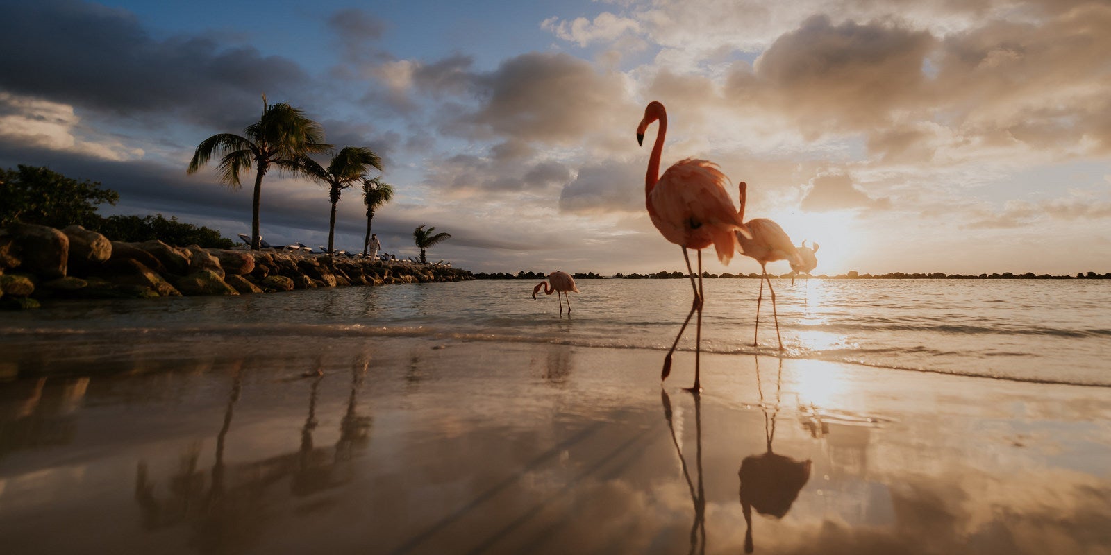 (Photo courtesy of The Renaissance Aruba)