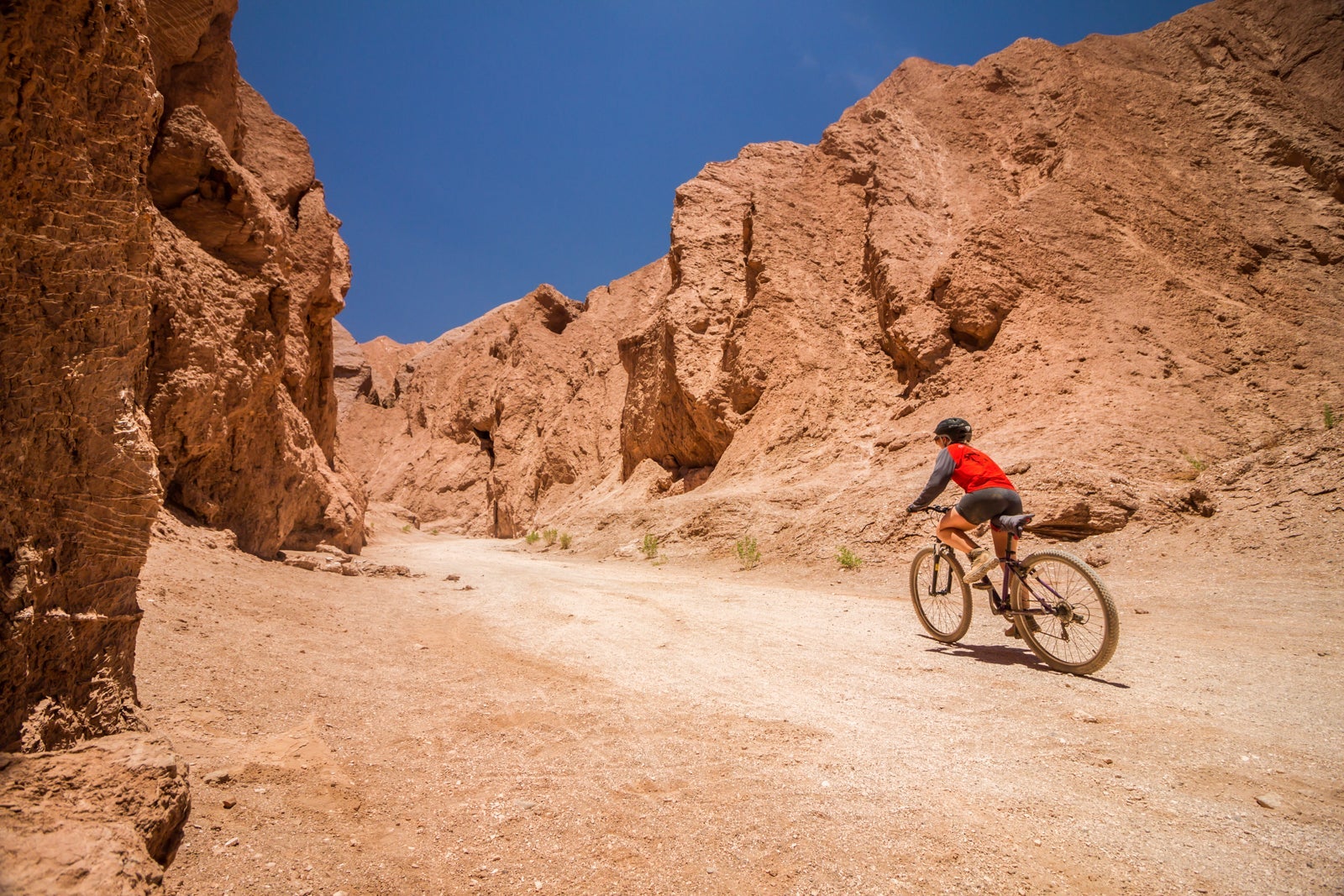 Cycling through the Atacama Desert. (Photo via Shutterstock)