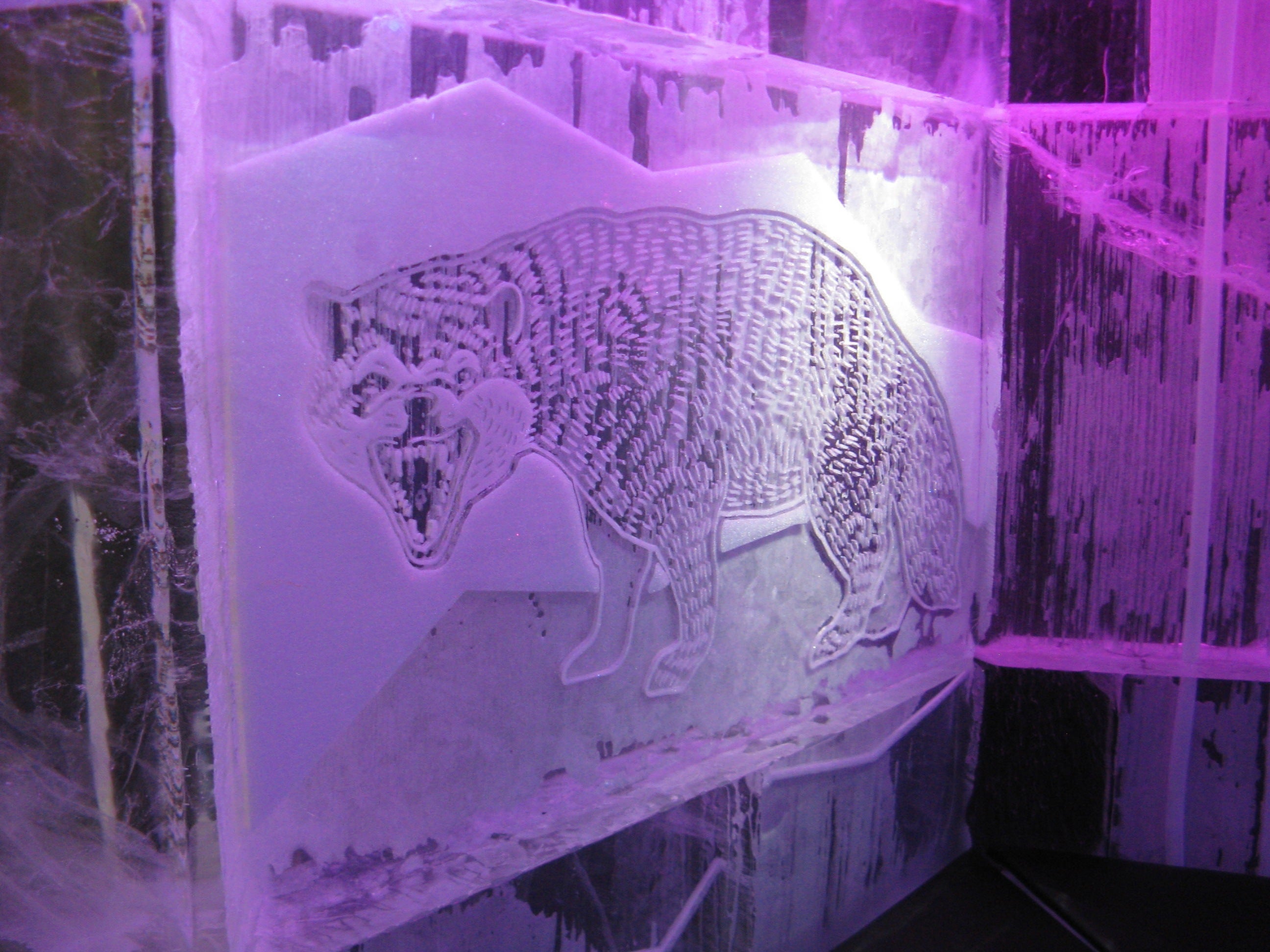 Stockholm's Ice Bar