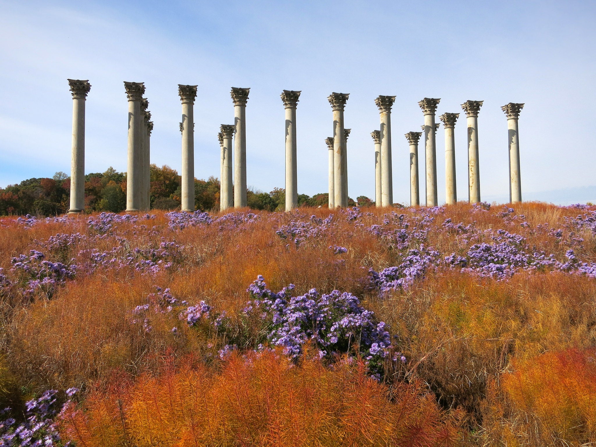 Naitonal Capitol Columns National Arboretum