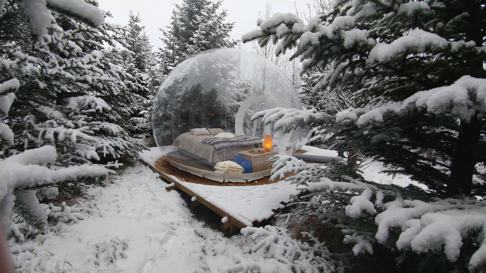 (Photo courtesy of 5 Million Star Hotel/Buubble)