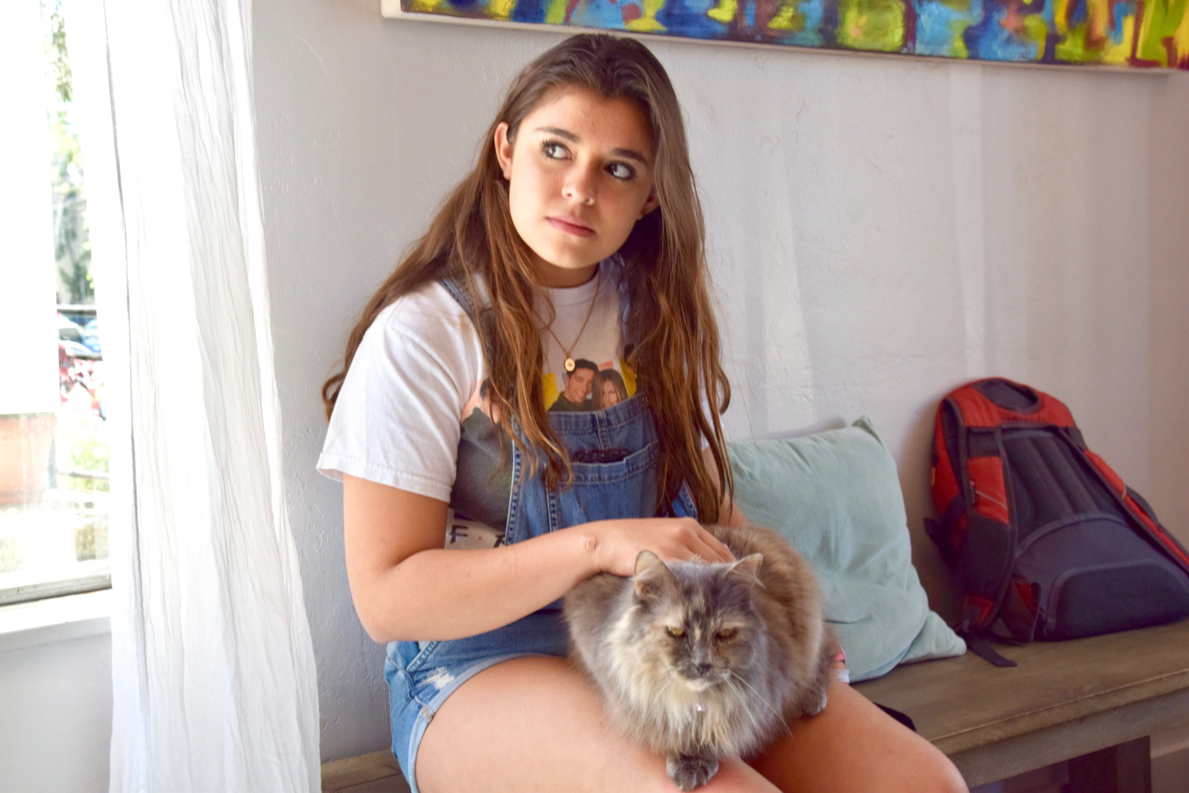 Cat Therapy lounge and cafe Santa Barbara