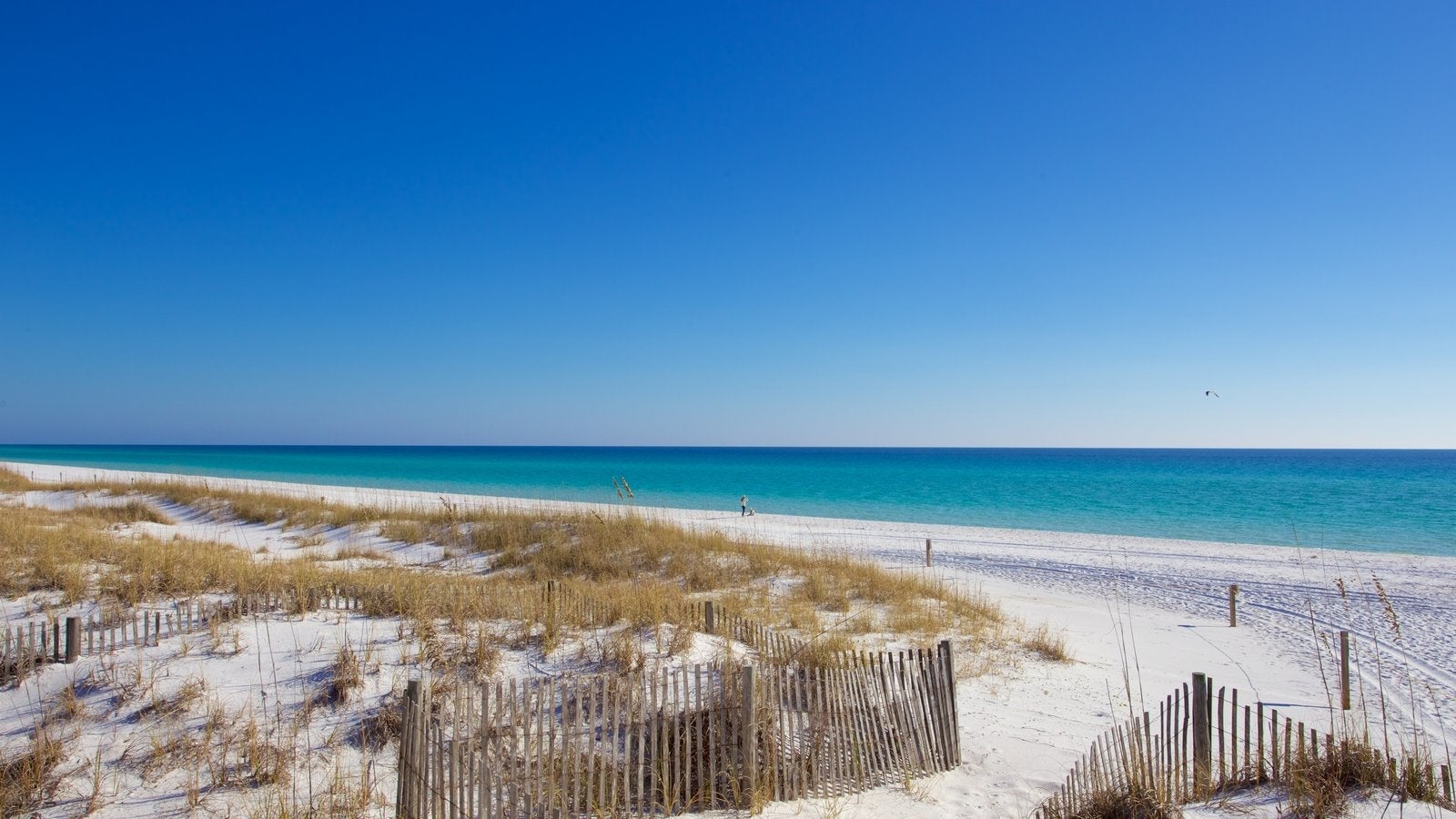 Henderson Beach State Park