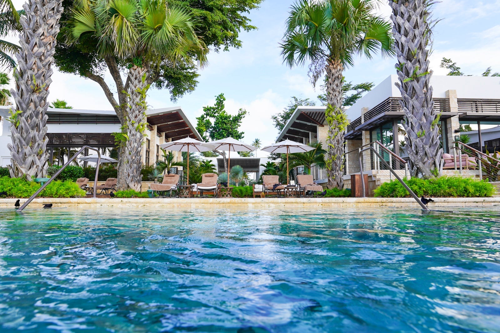 Eye-level picture of a hotel pool surrounded by villas and palm trees