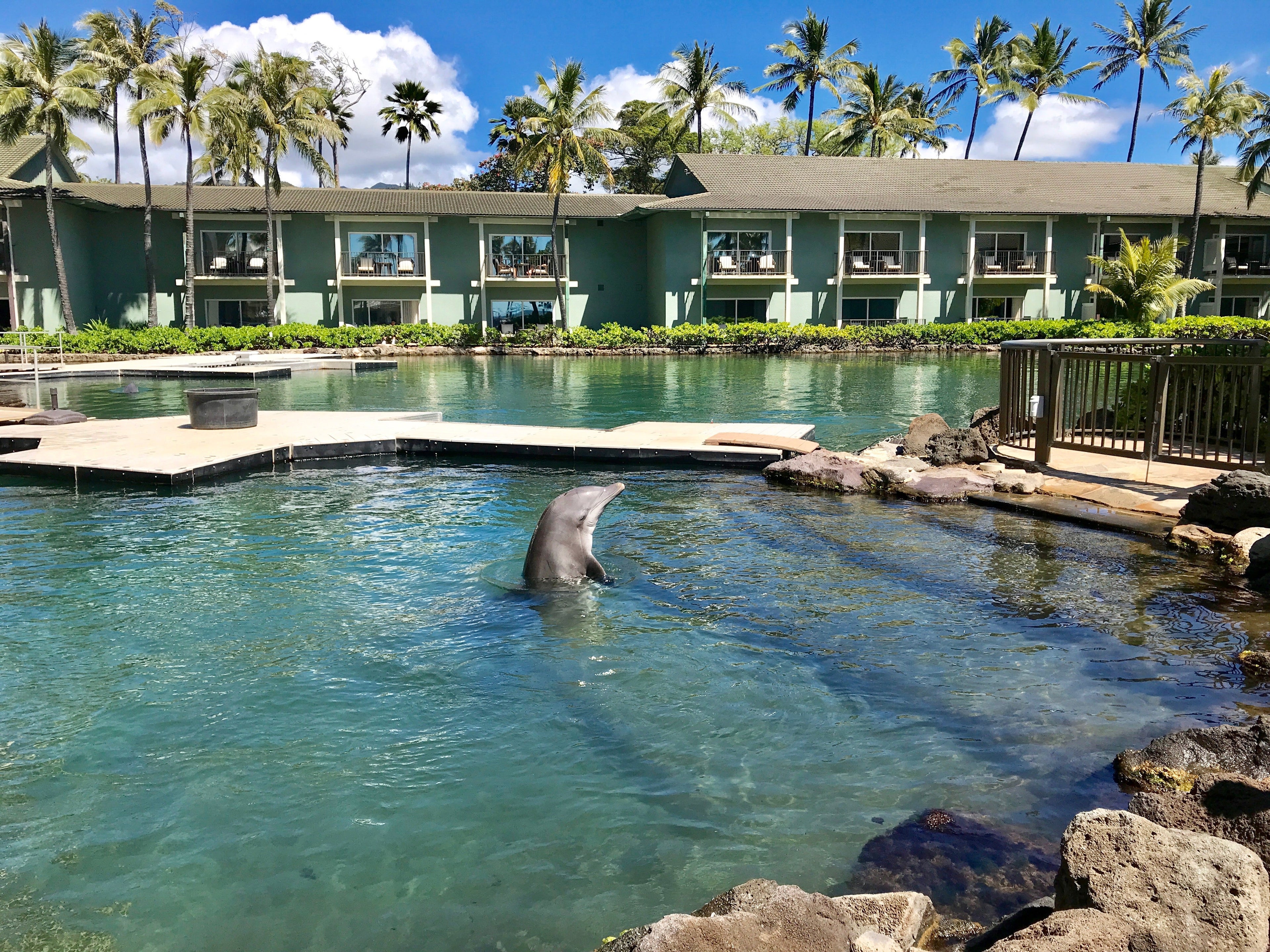 dolphin Kalaha Resort