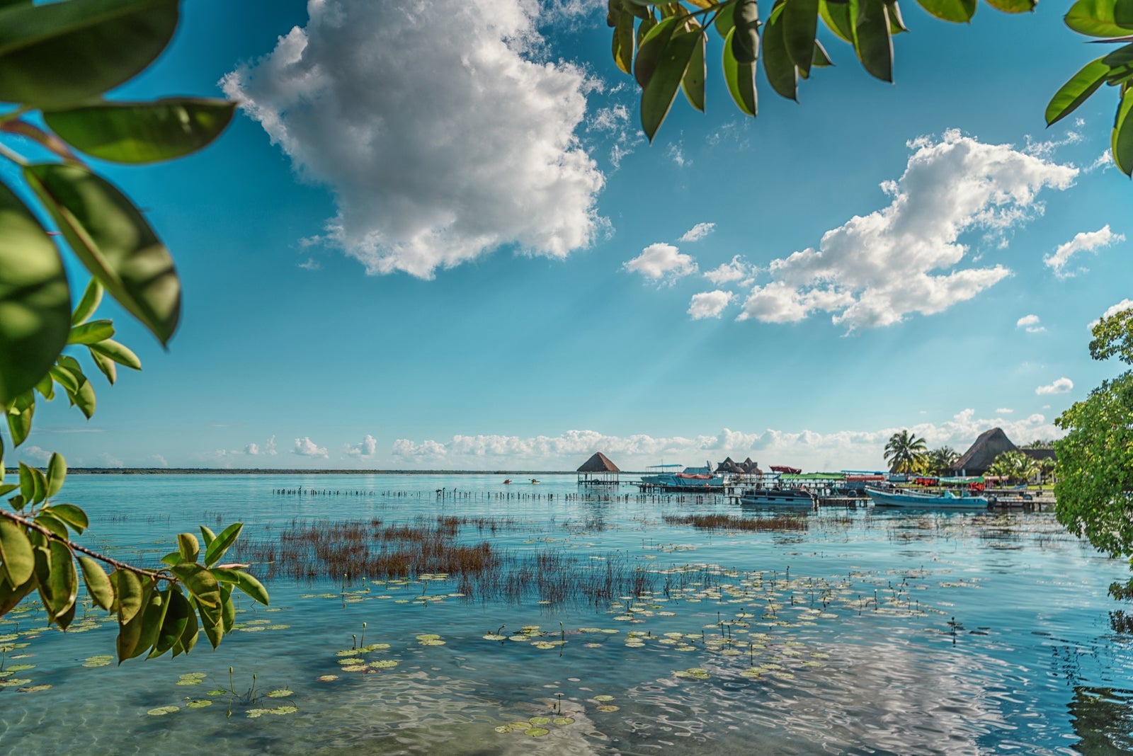 Bacalar. (Photo by Elisa Blanca/Shutterstock)