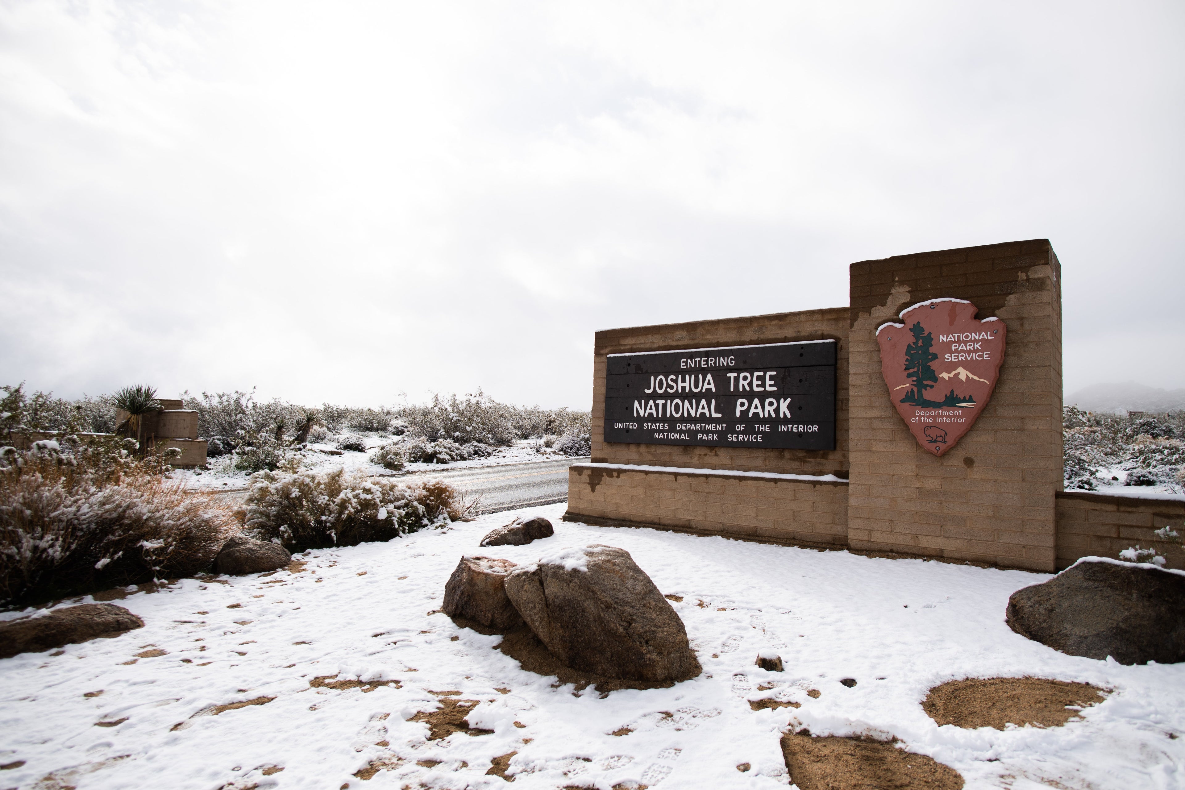 Snow Joshua tree national park California