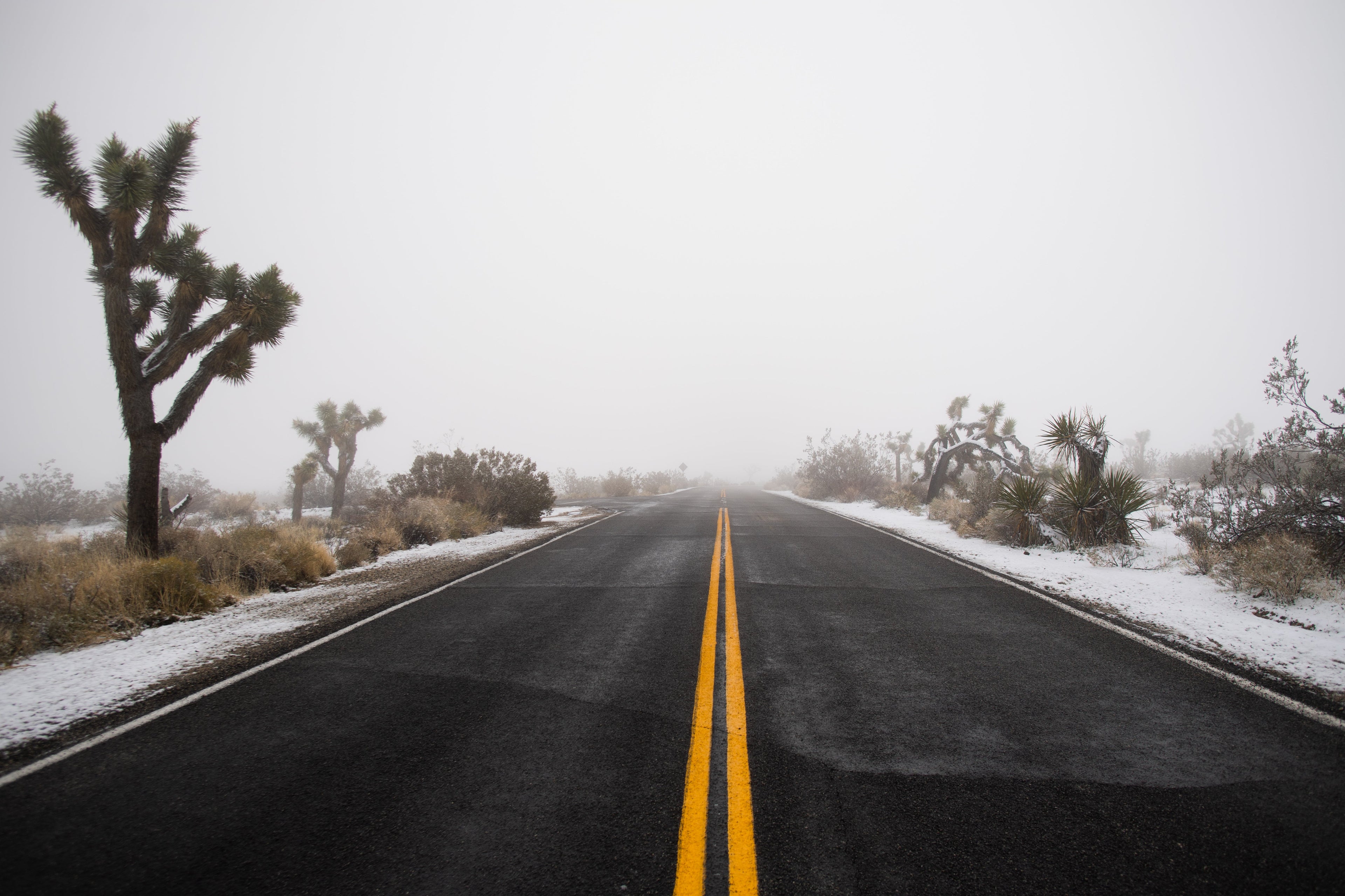 Snow Joshua tree national park California