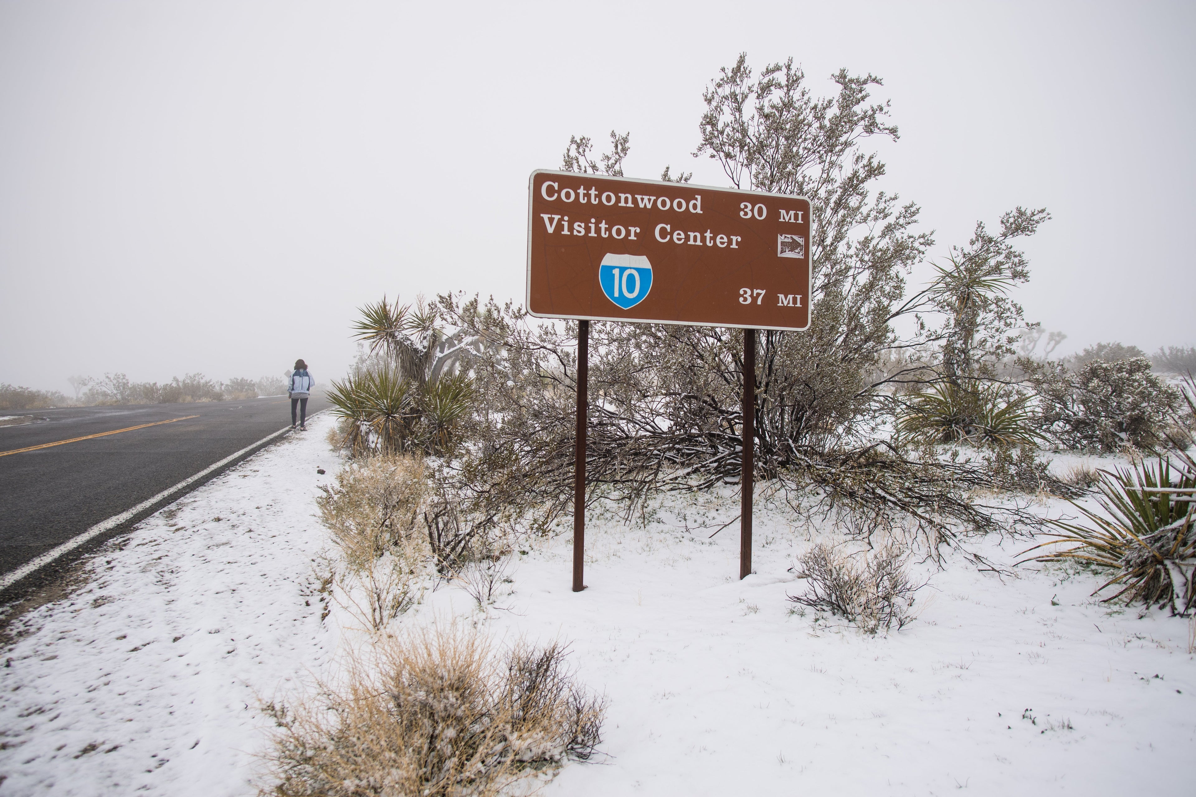 Snow Joshua tree national park California