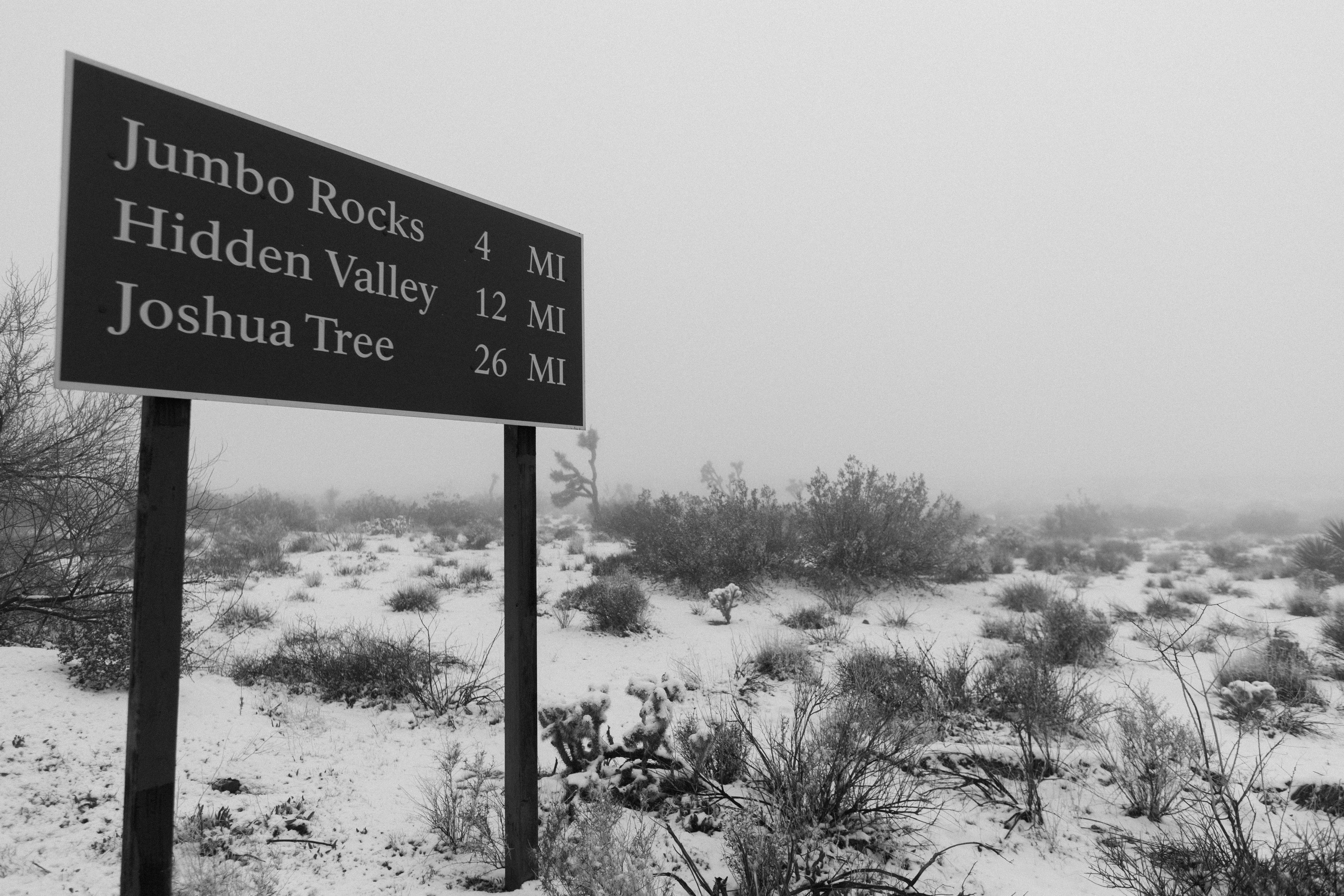 Snow Joshua tree national park California