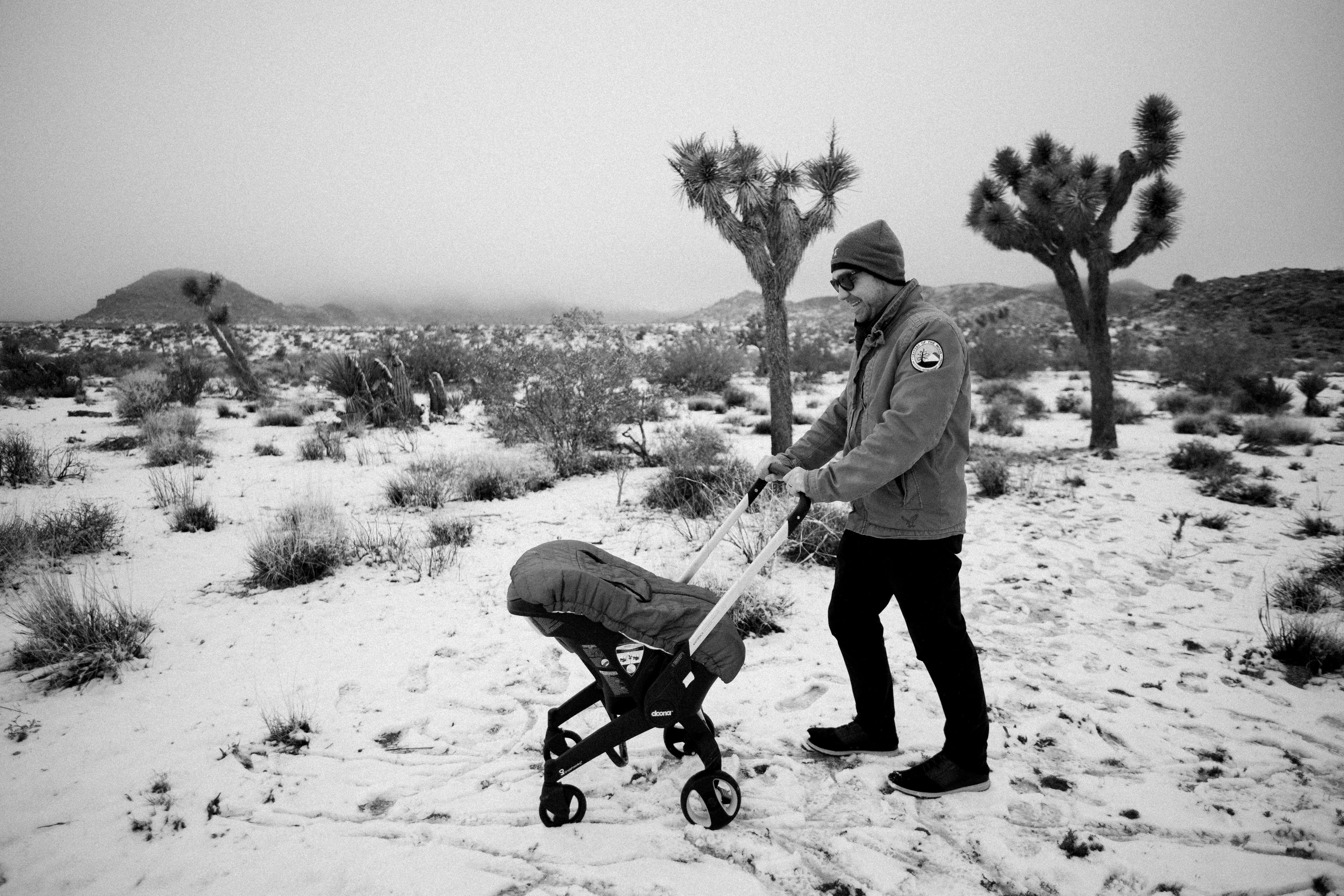 Snow Joshua tree national park California