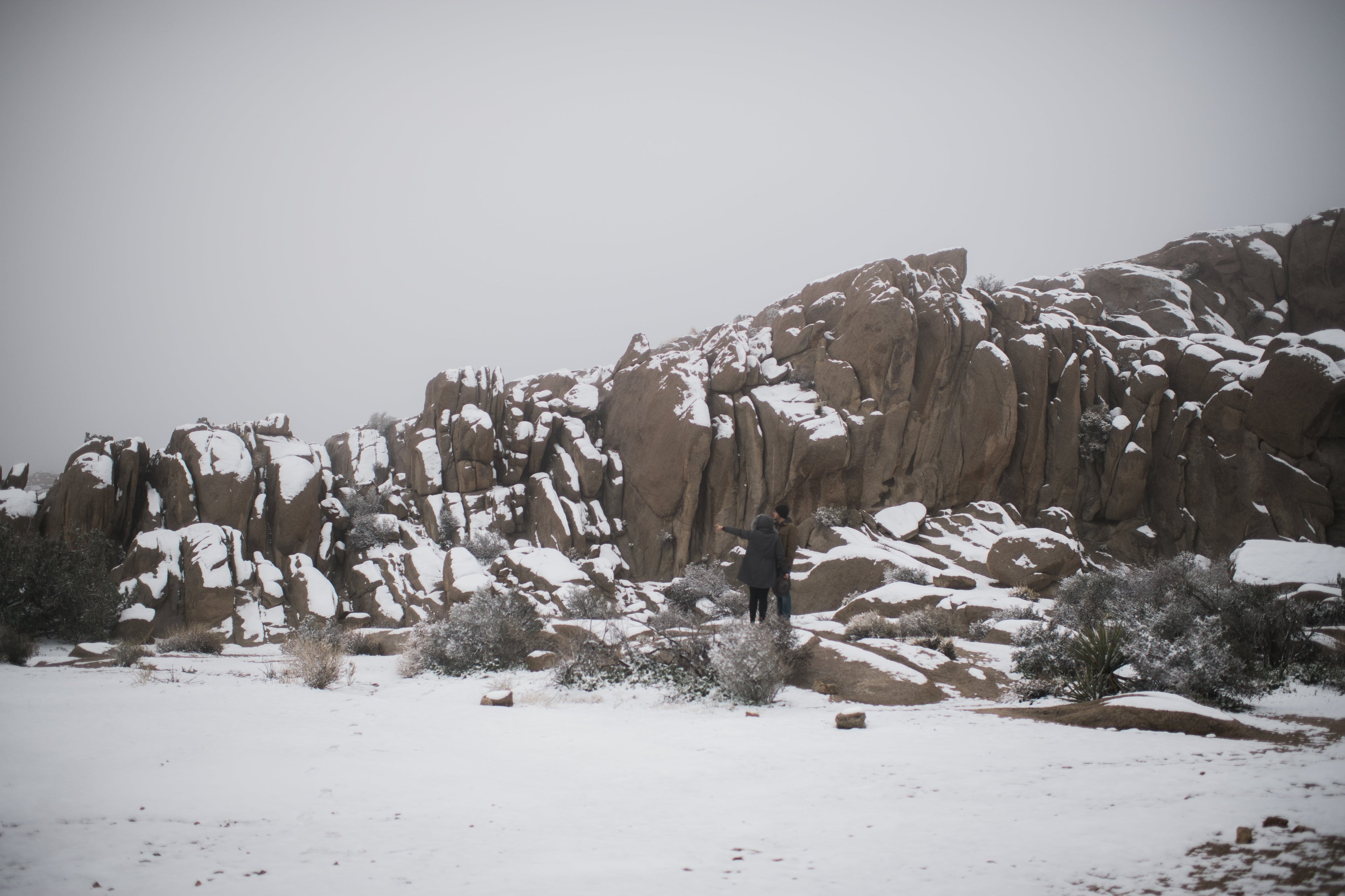 Snow Joshua tree national park California