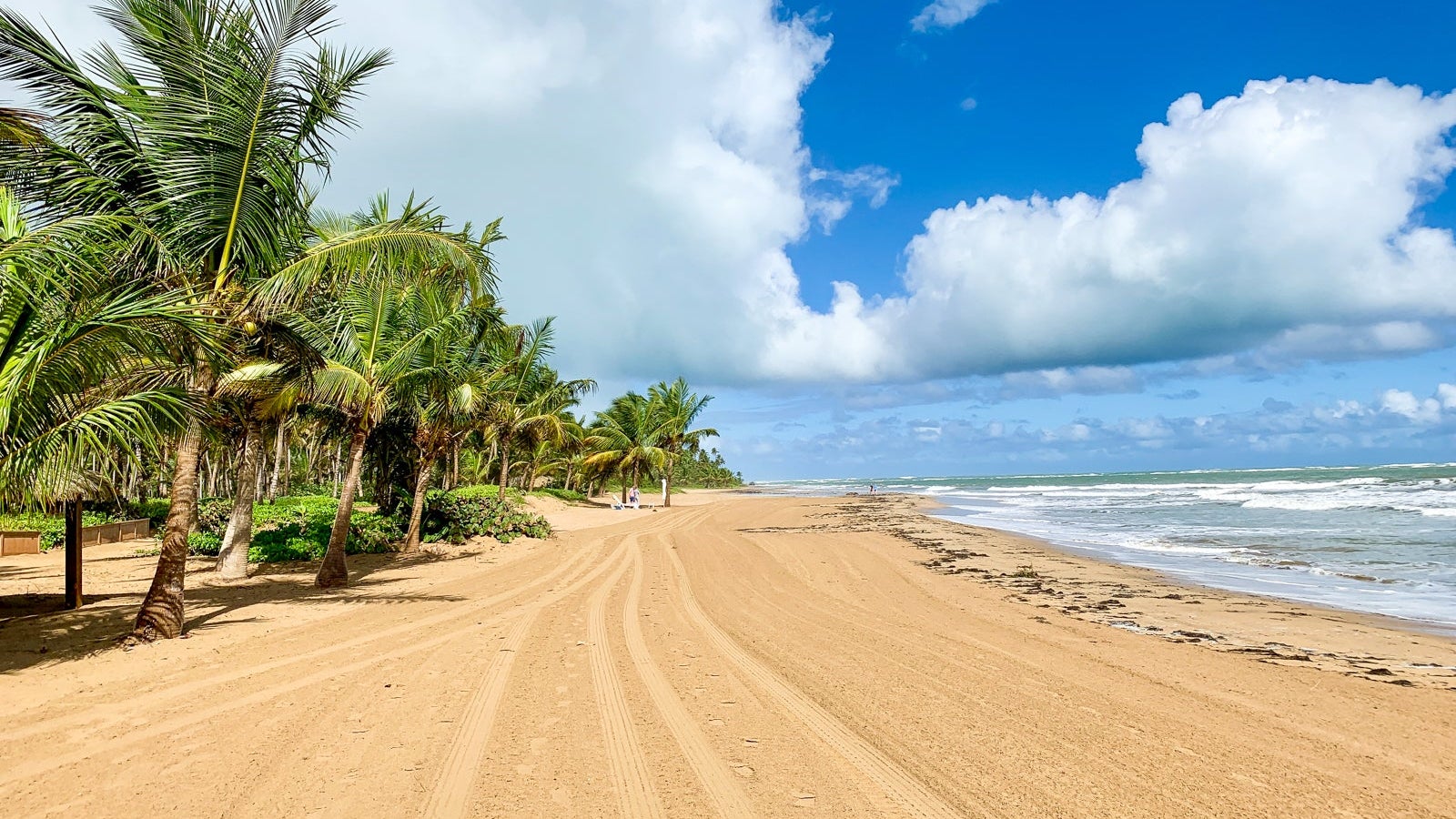 St. Regis Bahia Beach Puerto Rico_NEllis-17
