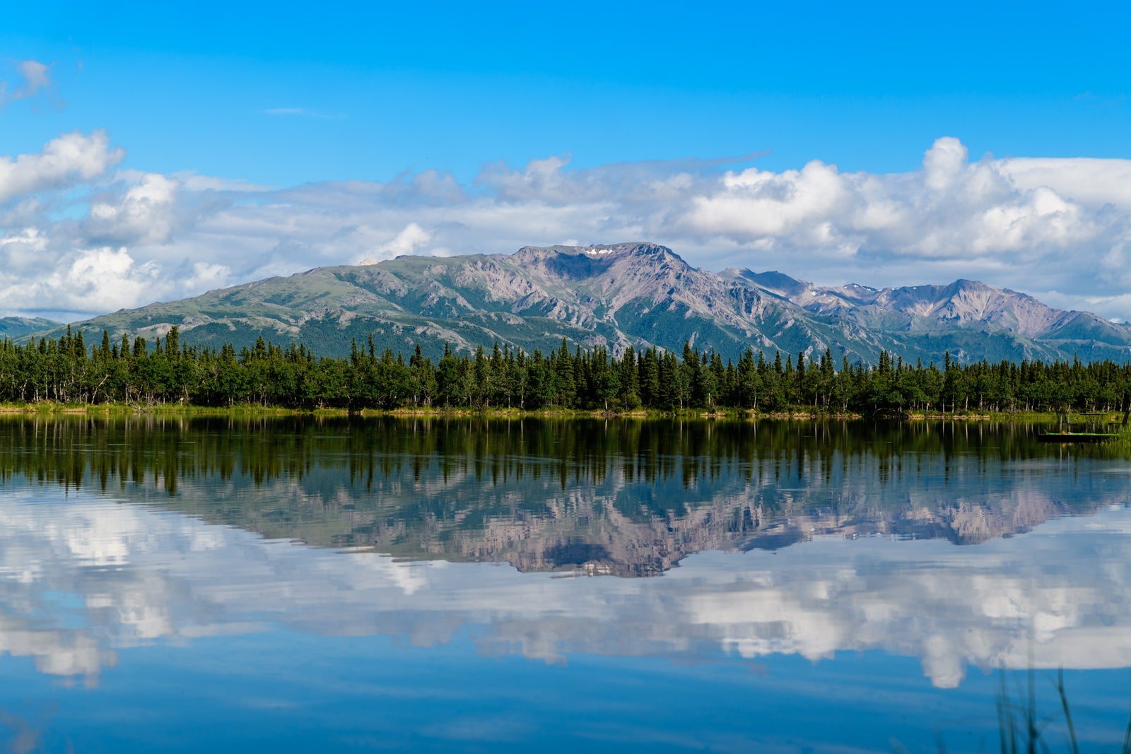 Denali National Park in Alaska is close to Juneau, a cheaper city to stay in. (Photo by Hari Nandakumar/Unsplash)