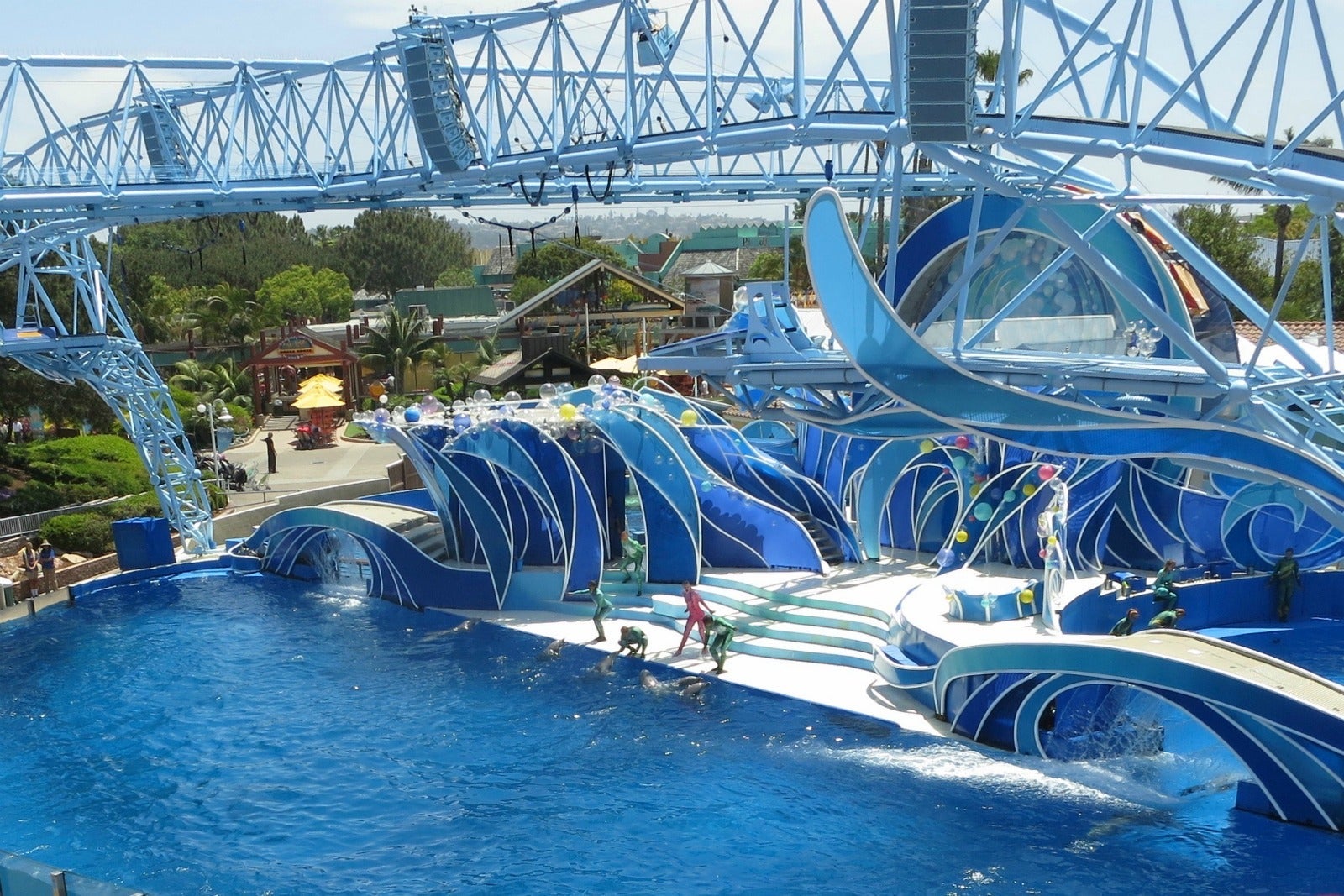 Sea World San Diego Dolphin Show