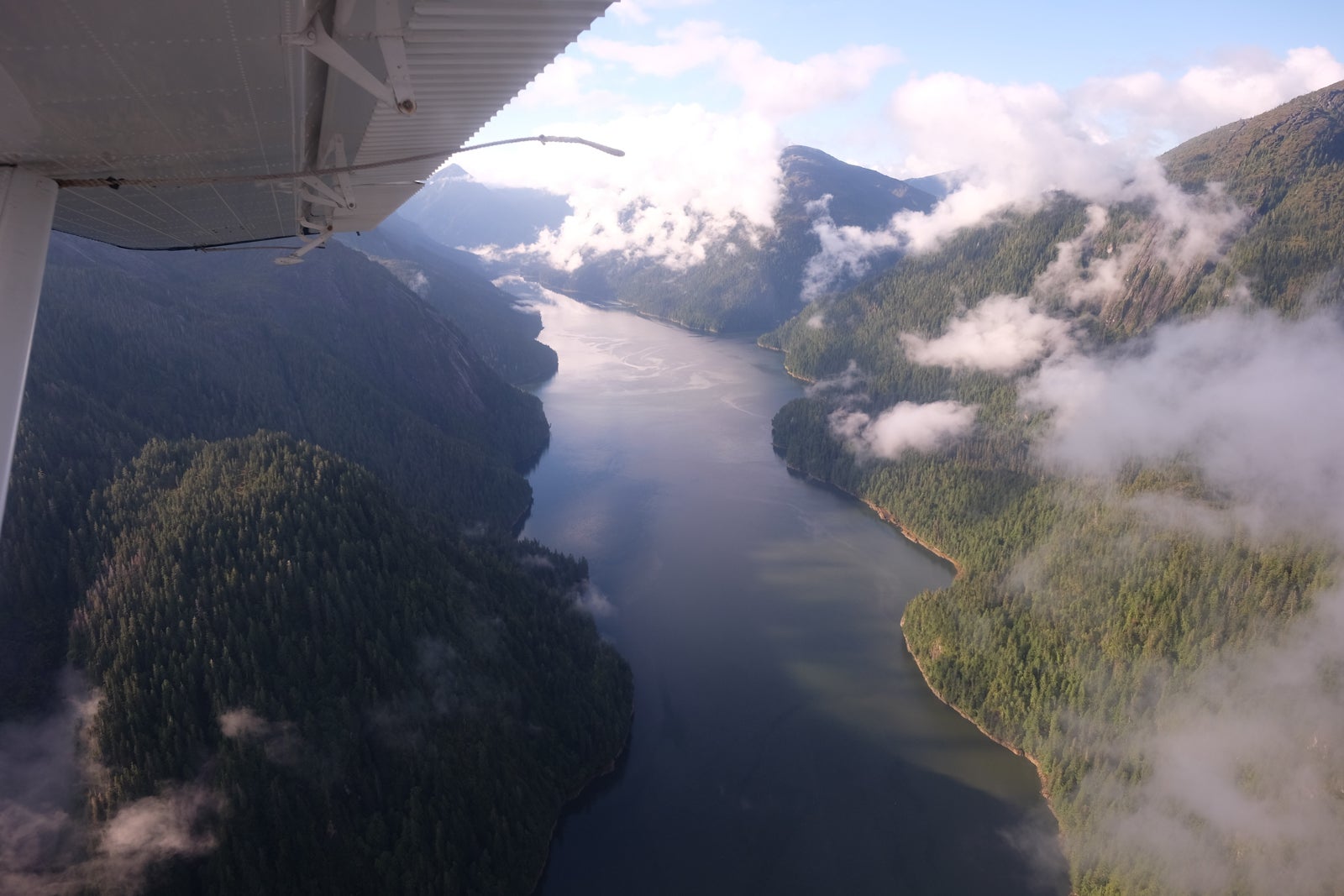 The fjords of Alaska. (Photo by Bruce Warrington/Unsplash)
