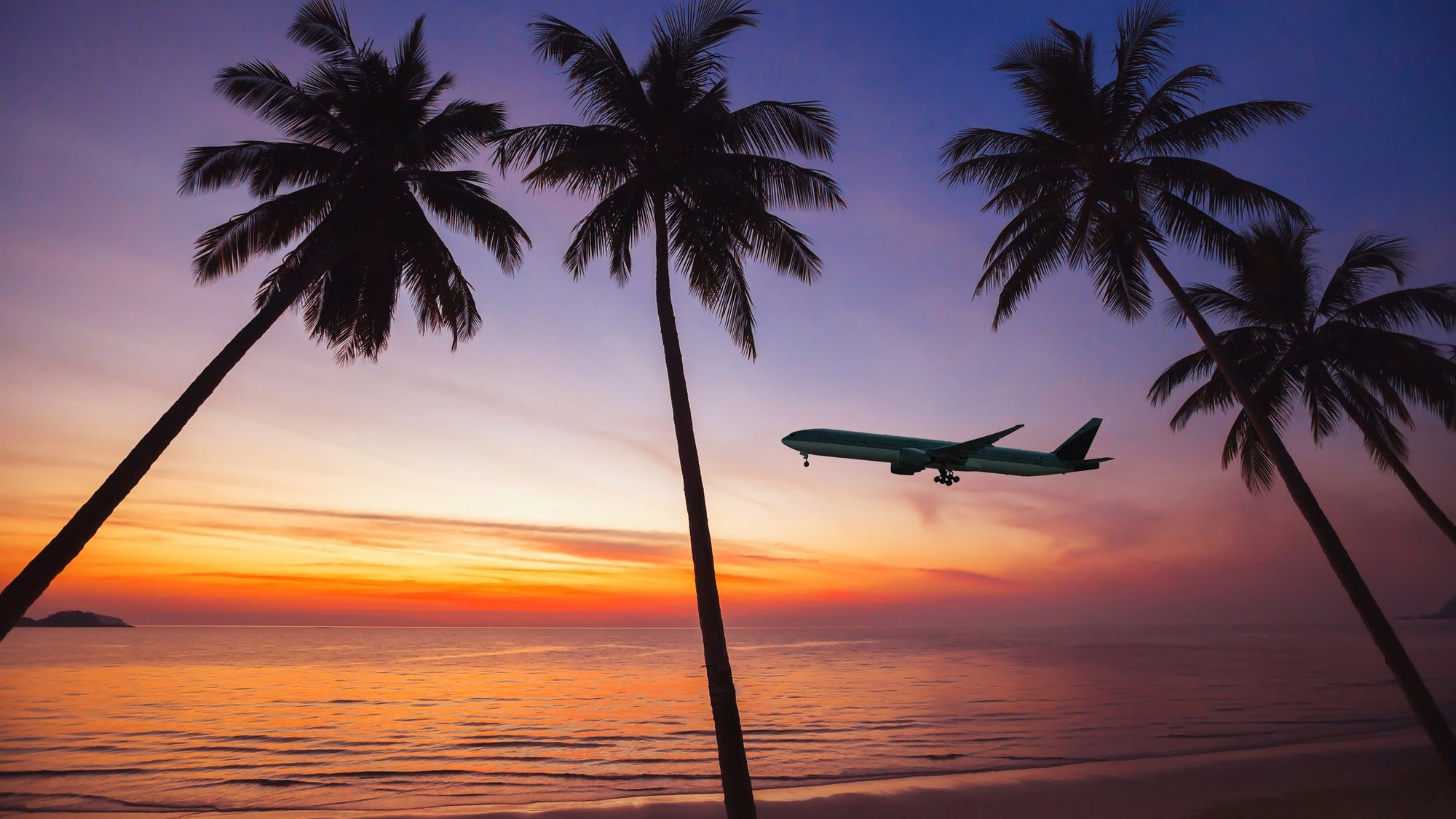 flight to exotic travel destination