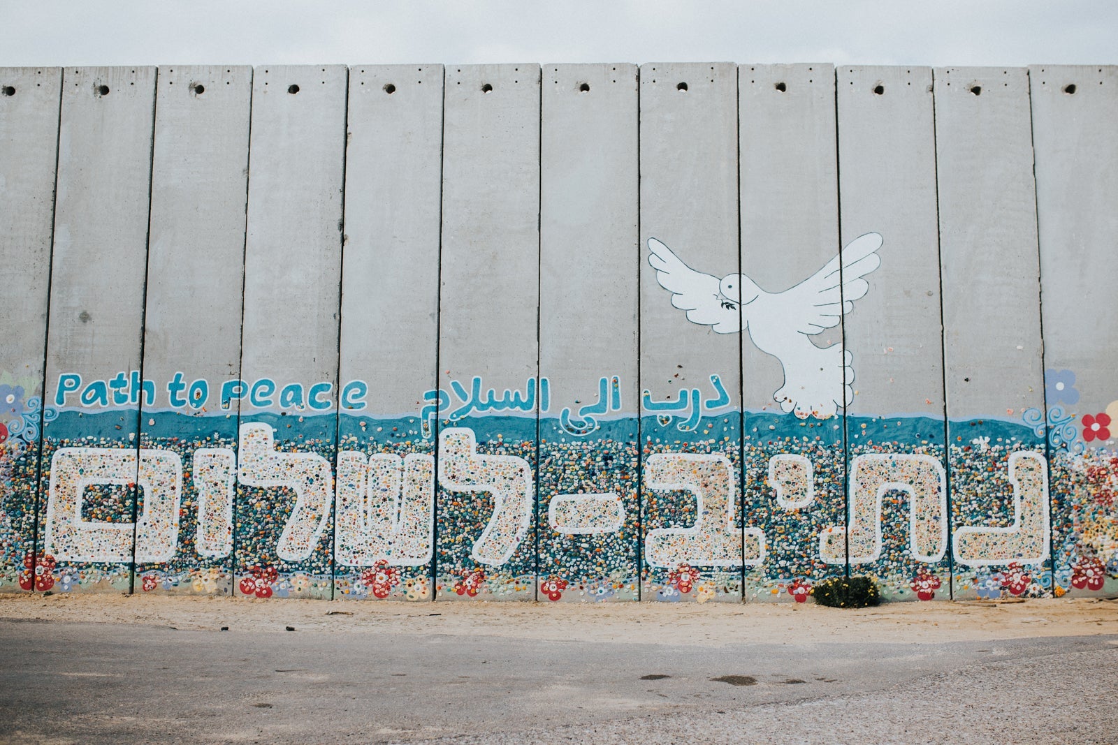 The sign reads "path to peace" in different languages. (Photo by Cole Keister/Unsplash)