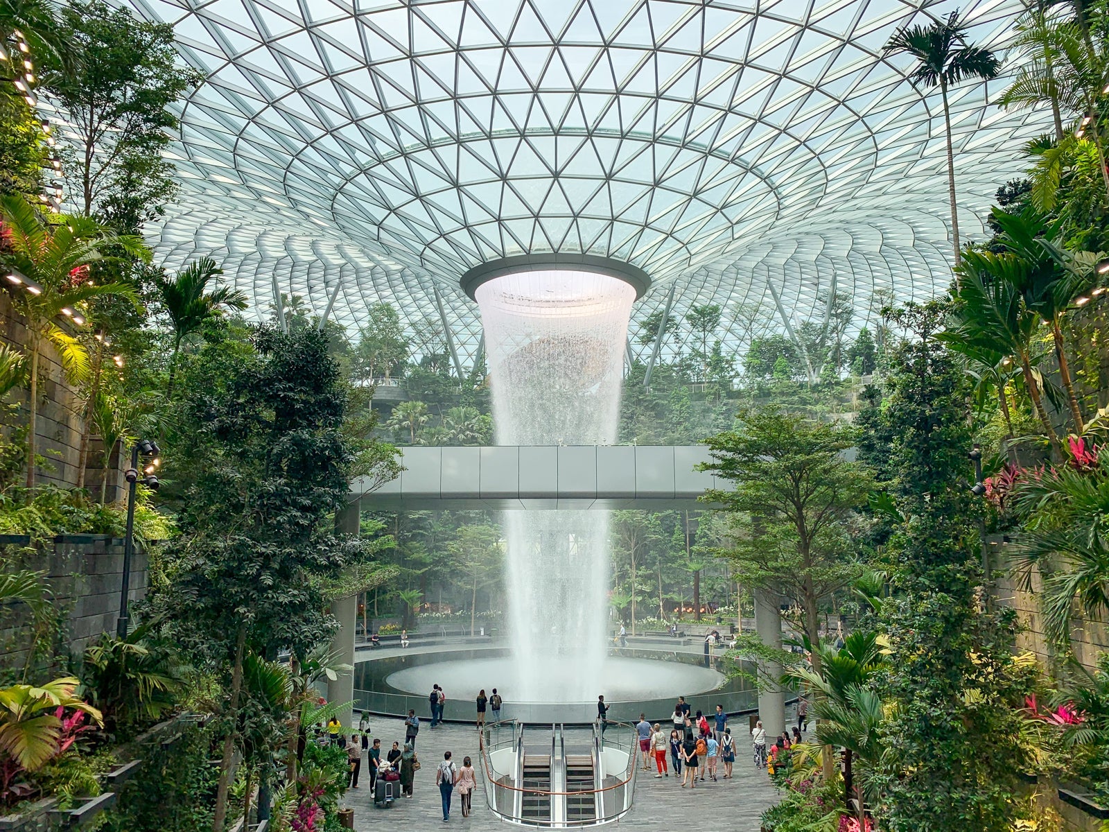canopy park Singapore Changi Airport