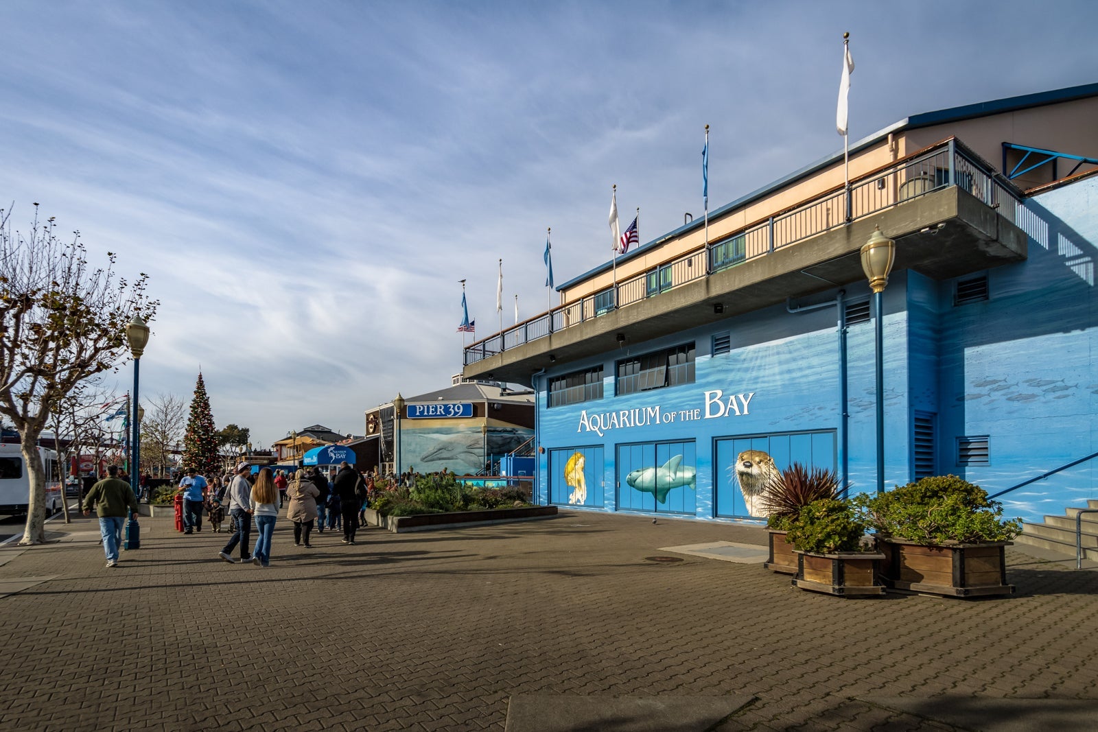 Pier 39 and Aquarium of the Bay in Fisherman's Wharf. (Photo by Diegograndi / Getty Images)
