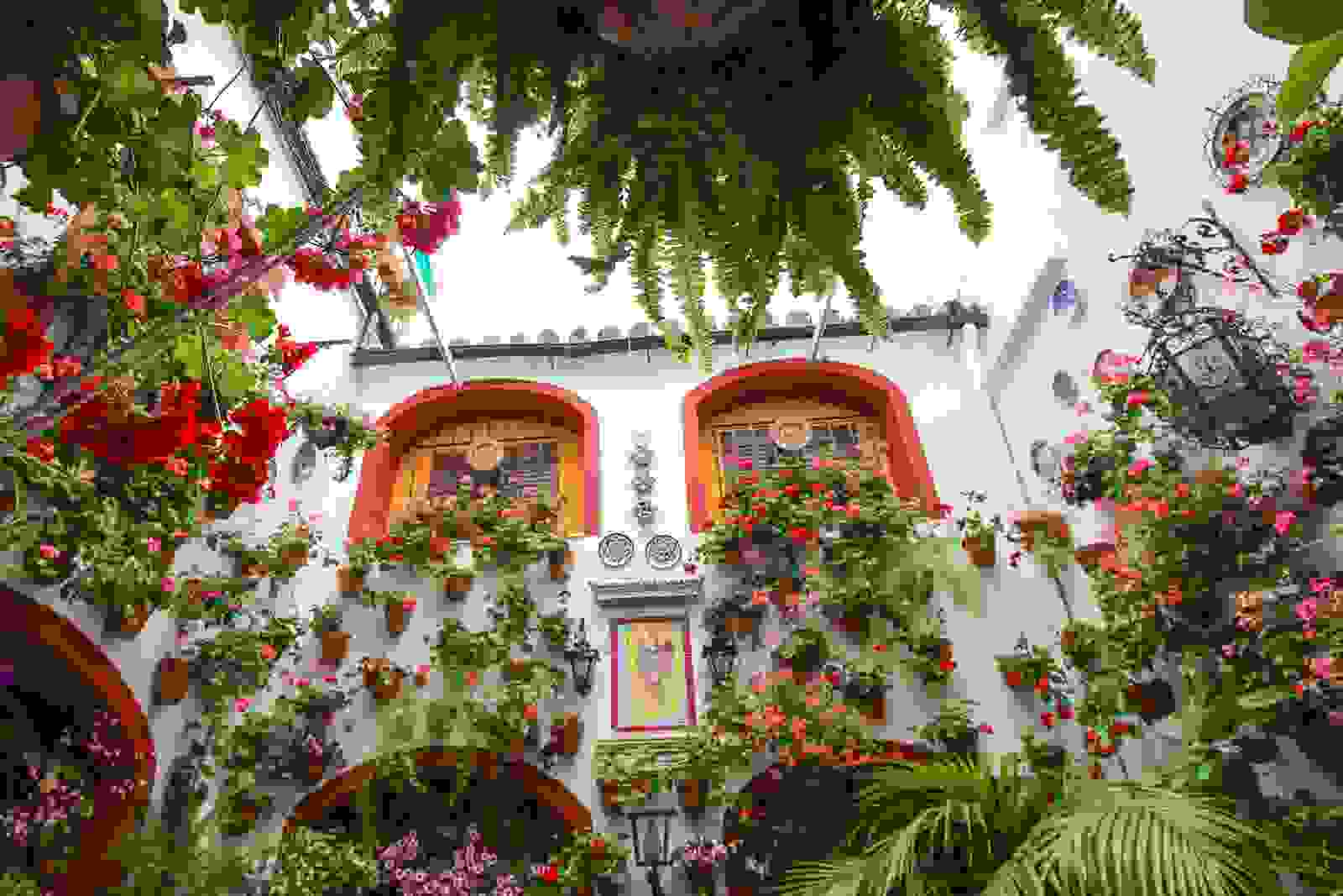The Patios Festival in Córdoba, Spain. (Photo by Thomas Janisch / Getty Images)