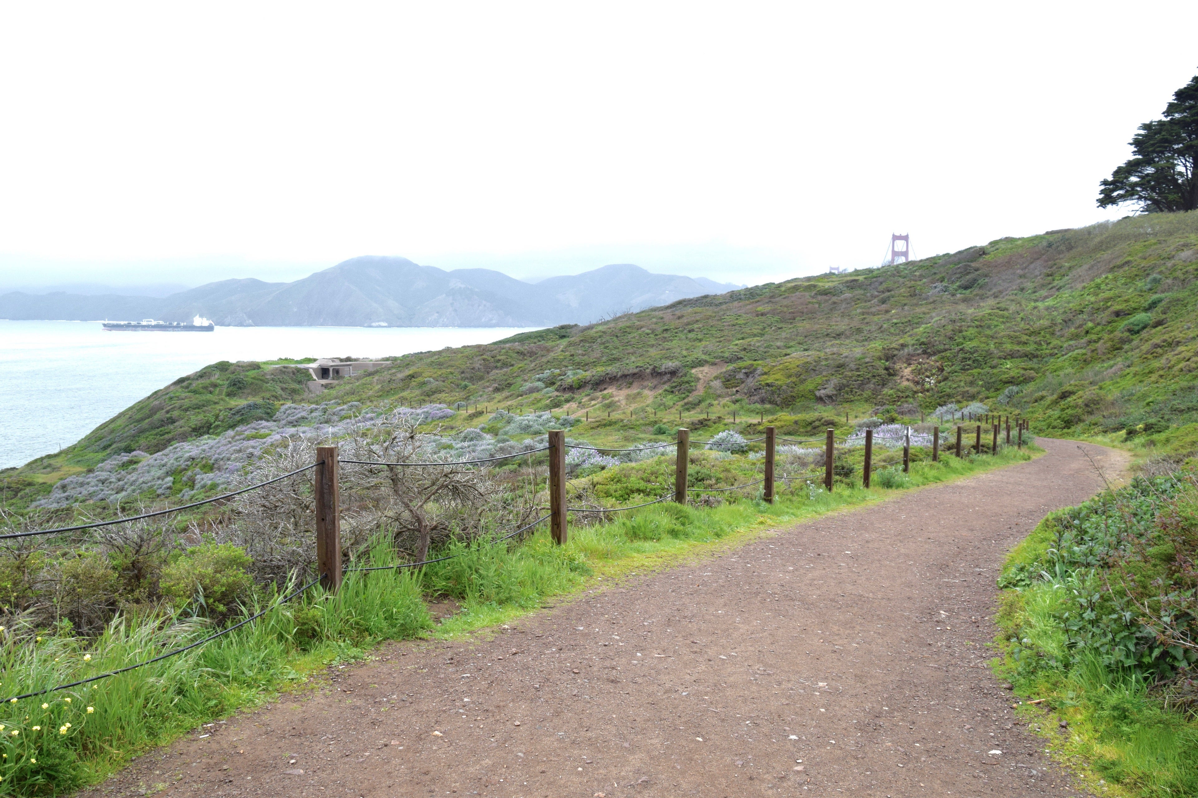 The California Coast Trail in San Francisco's Presidio Park is beautiful in Spring.