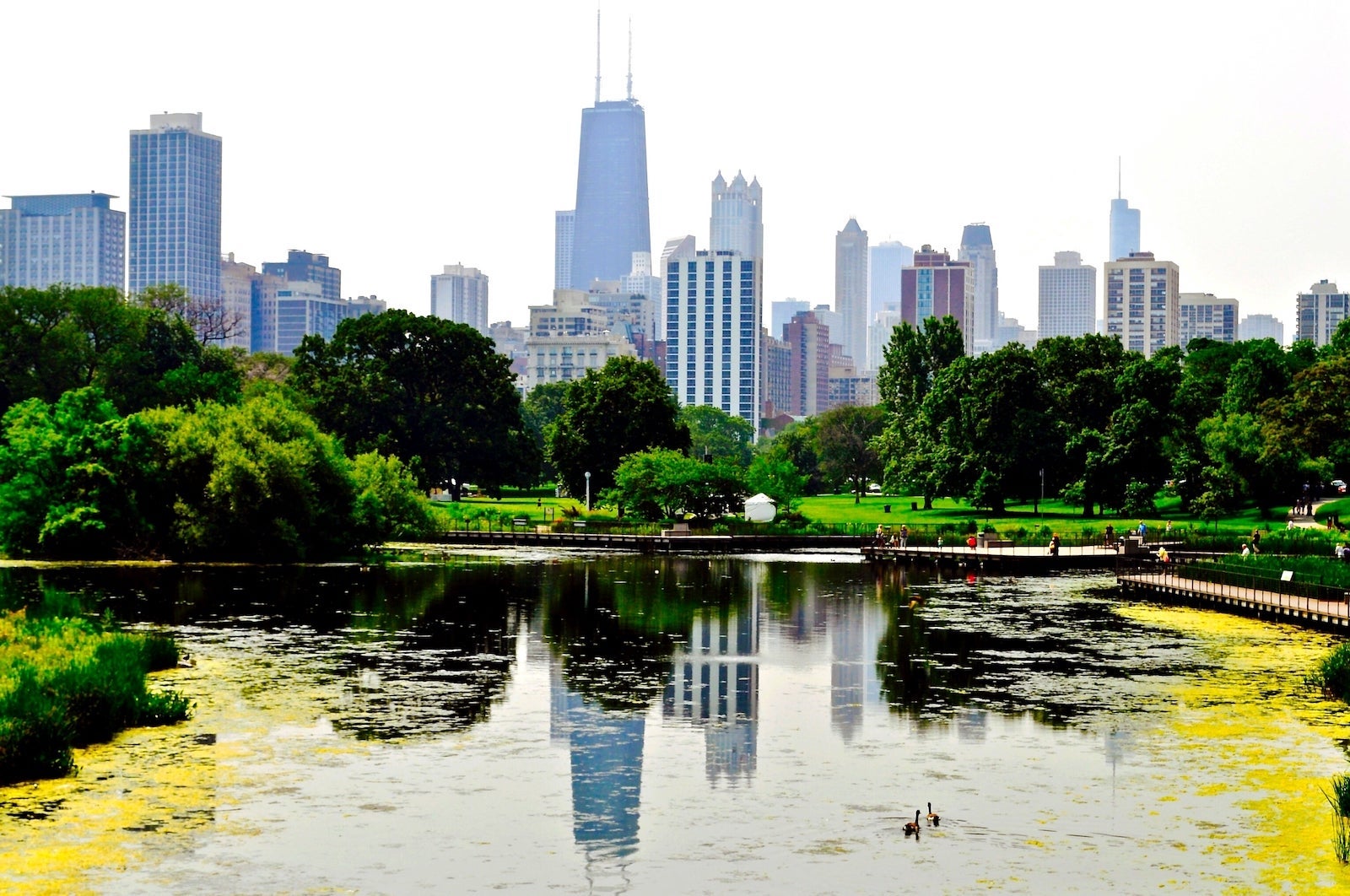 Reflection Of Downtown District In Lincoln Park Zoo Pond (Photo by Diarimar Rodriguez/EyeEm / Getty Images)