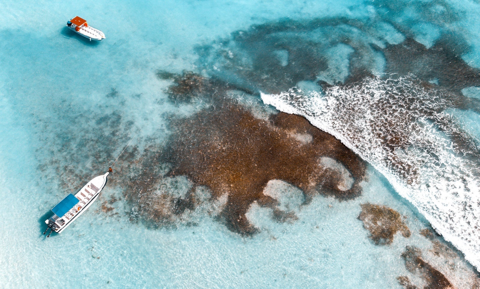 (Photo by Benjamin Voros / Unsplash)