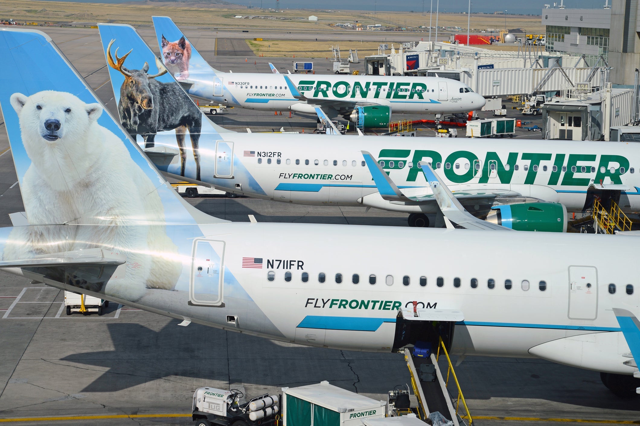 Frontier Airlines with aircraft at gate, while characterized as a low cost carrier, Frontier continues to expand with new routes in the United States. (Photo by robertcicchetti / Getty Images)