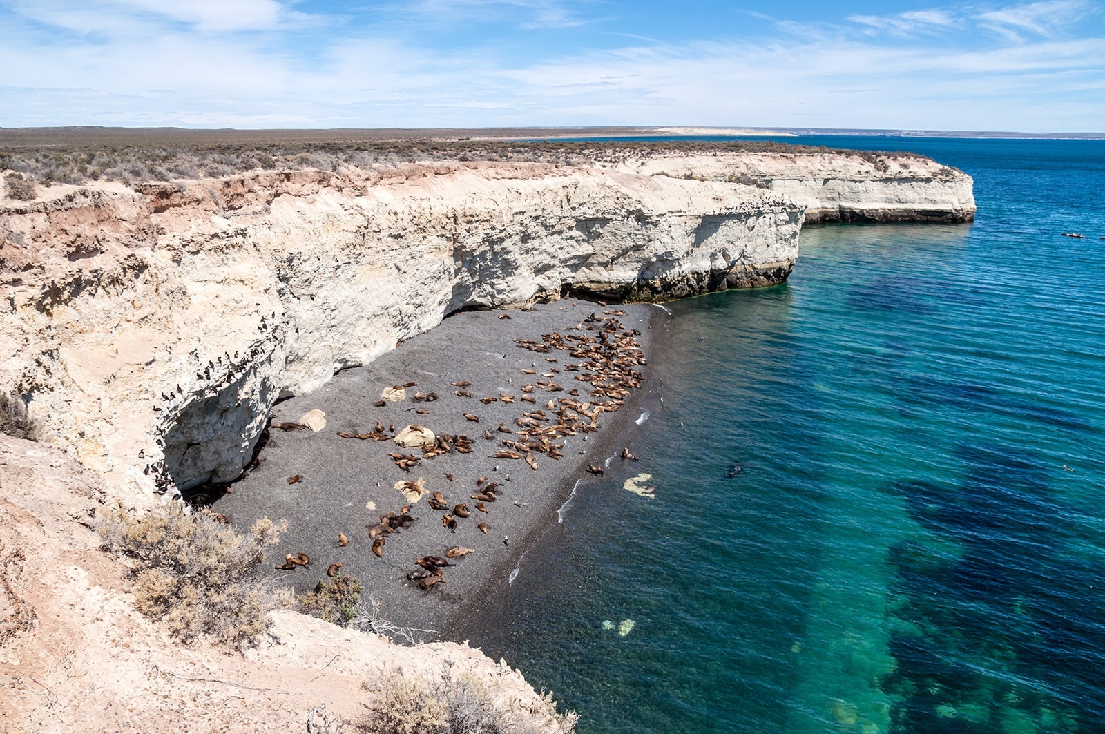 A colony of sea lions on a beach south of Puerto Madryn, Argentina.