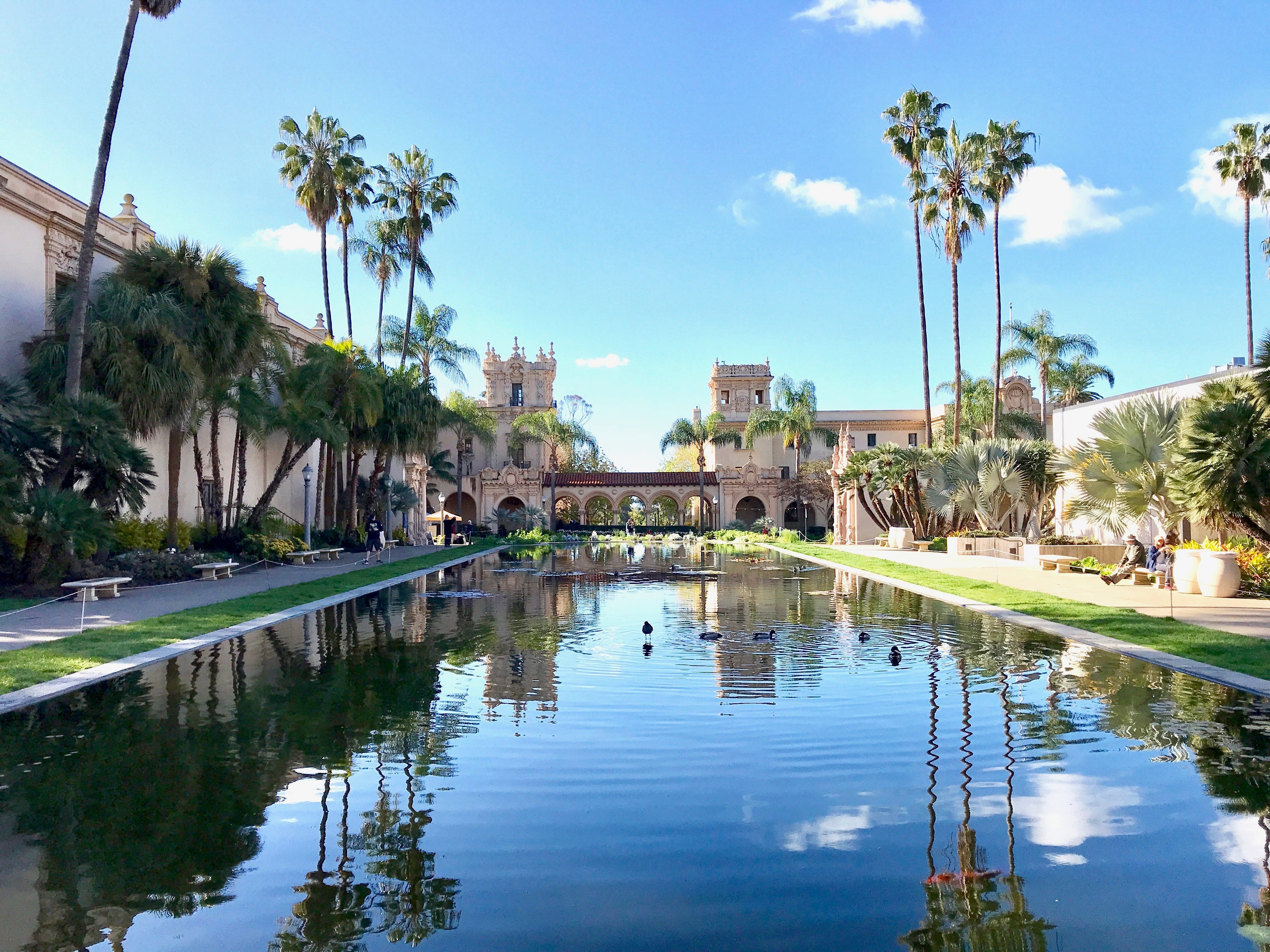 lily pond Balboa Park San Diego