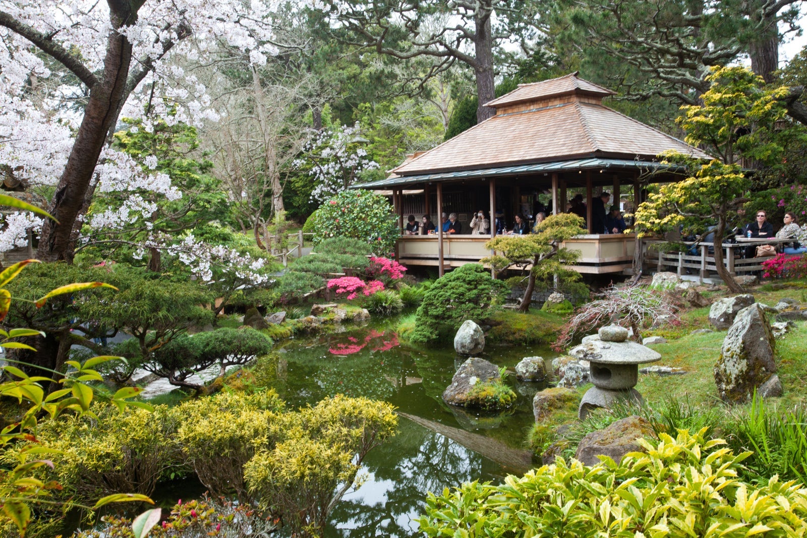 The Japanese Tea Garden at Golden Gate Park (Photo by John S Lander/LightRocket via Getty Images)