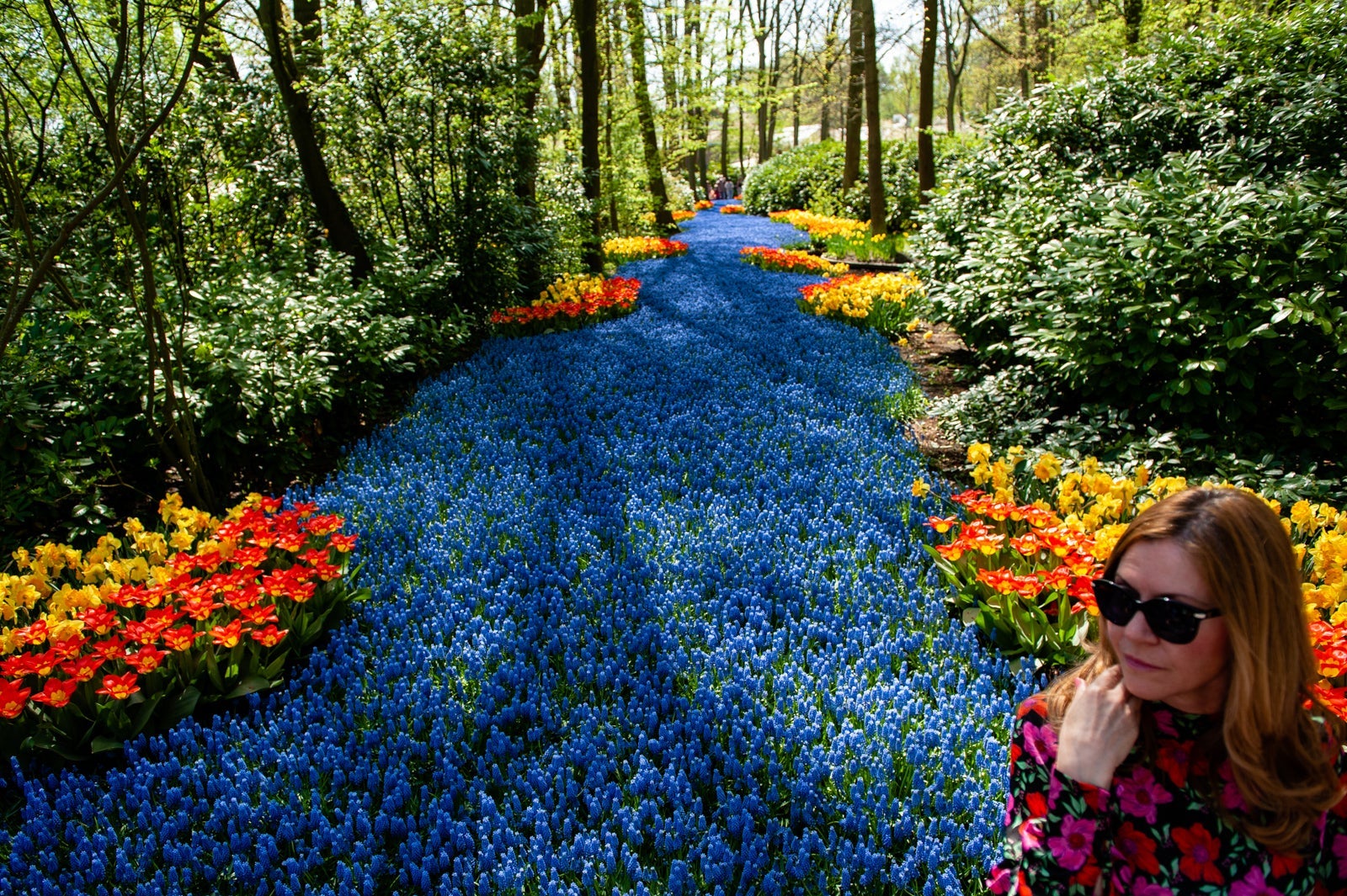 Keukenhof, aka the Garden of Europe, one of the world's largest flower gardens and in Lisse, The Netherlands. (Photo by Romy Arroyo Fernandez/NurPhoto via Getty Images)