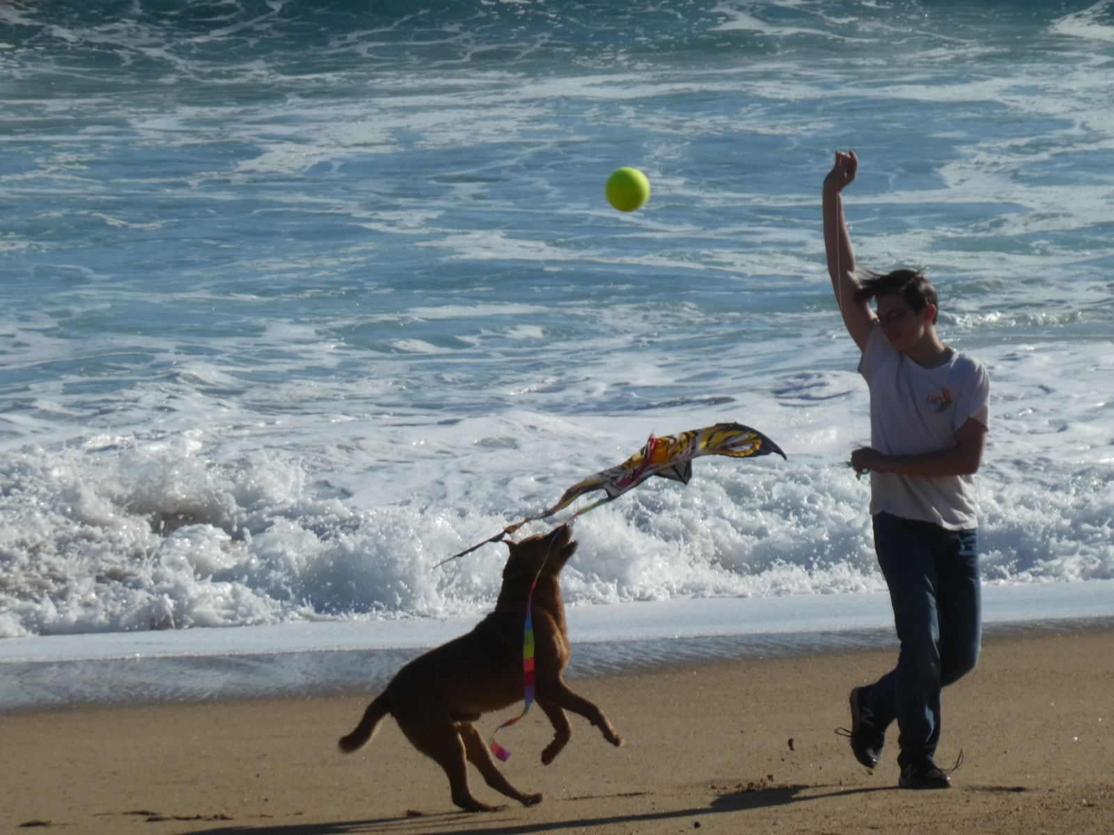Vina del Mar, Chile