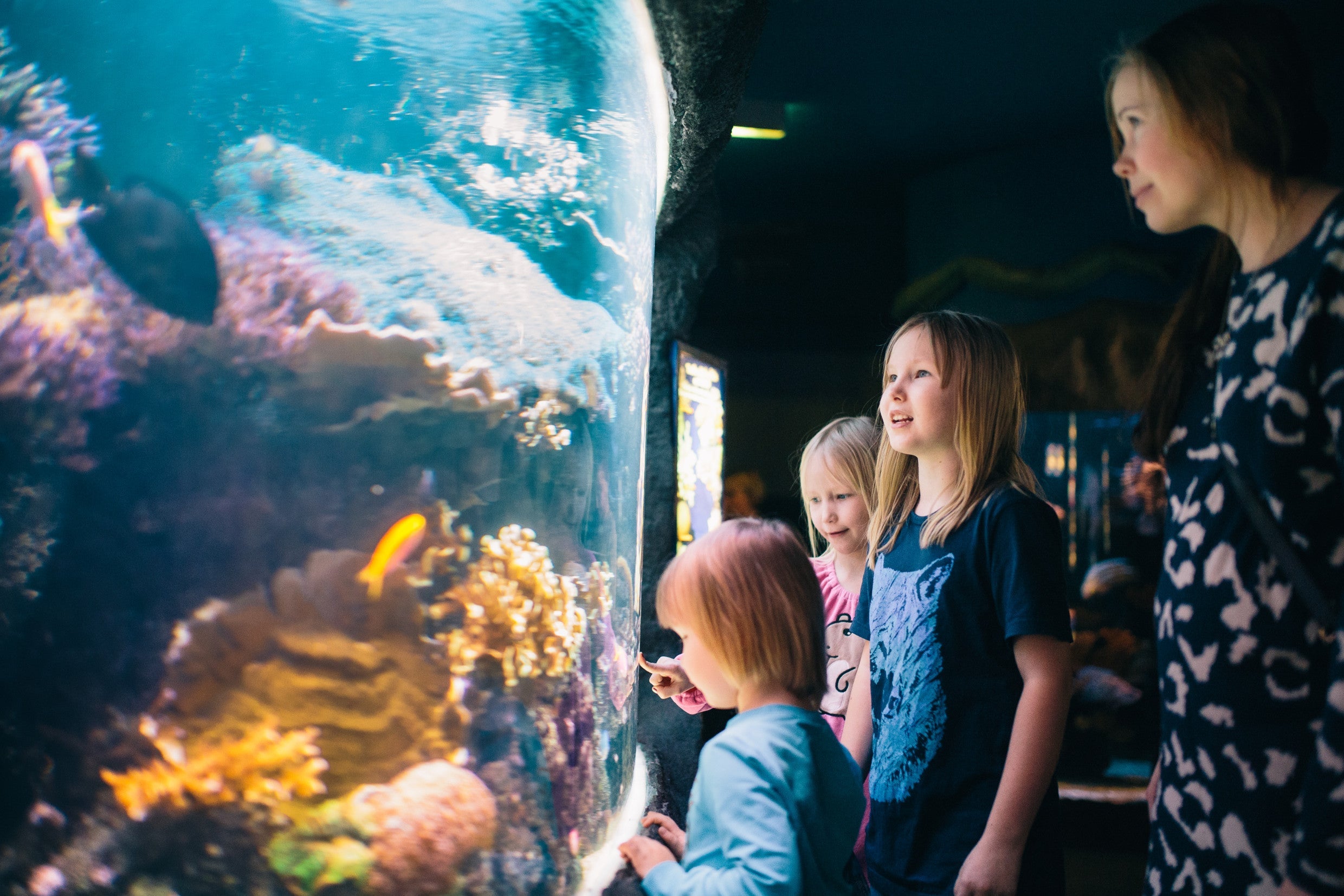 Kids love the Sea Life Aquarium in Helsinki, Finland. (Photo credit: