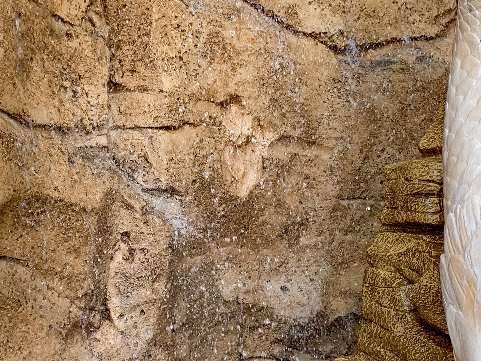 (Photo by Edward Pizzarello / The Points Guy)