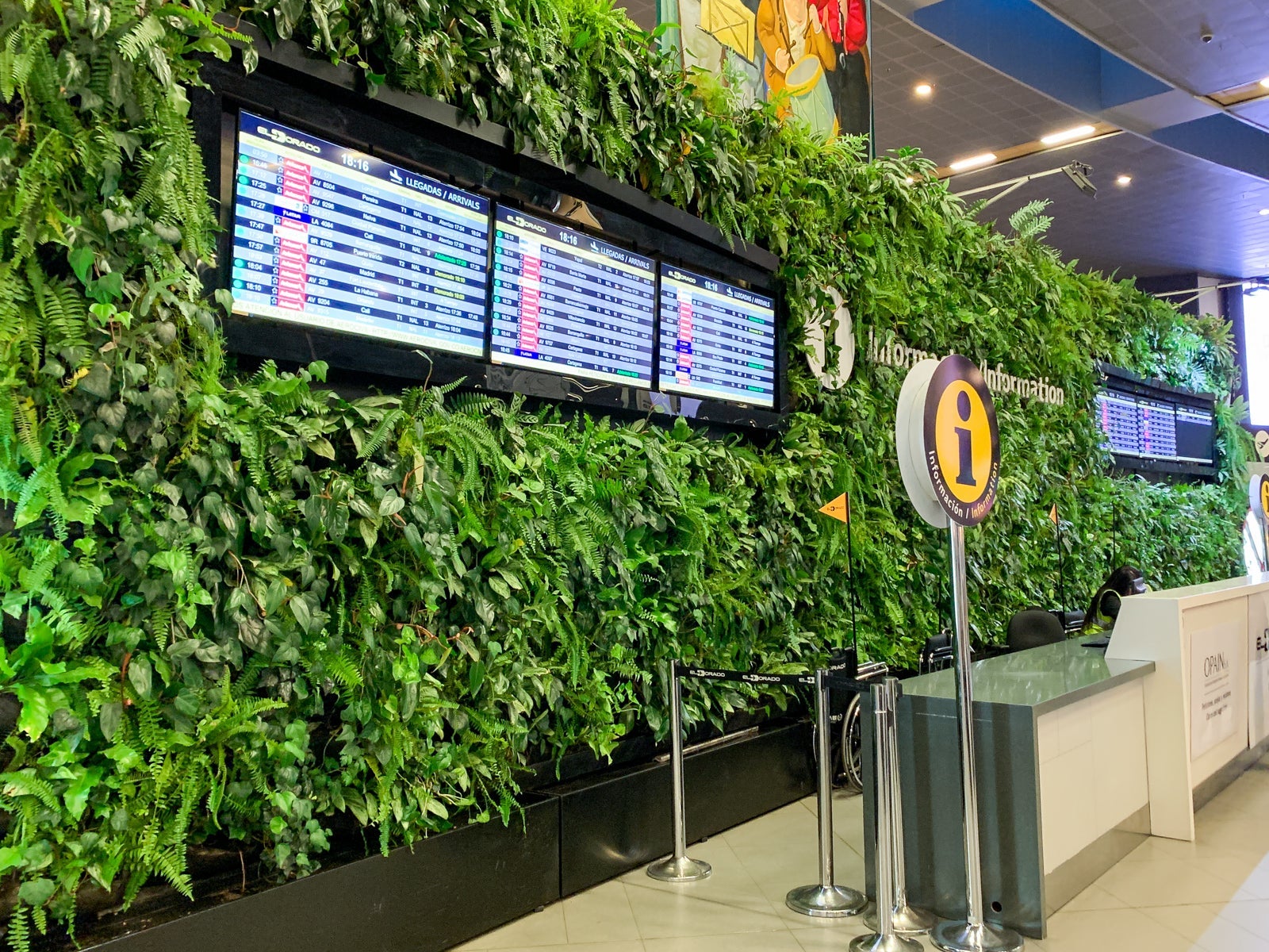 (Photo by Nick Ellis / The Points Guy)