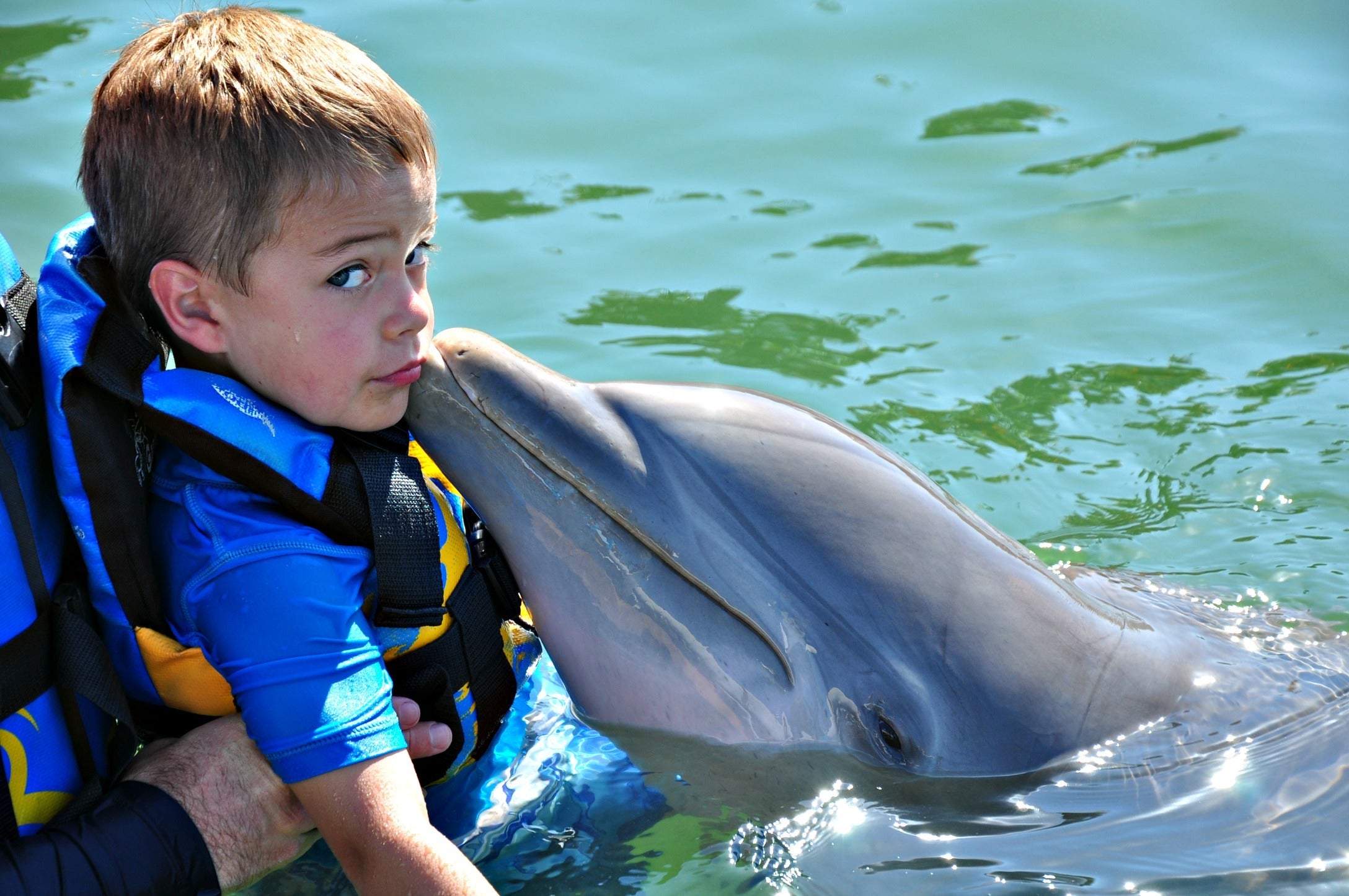 Cabo Dolphin Discovery Timmy and dolphin