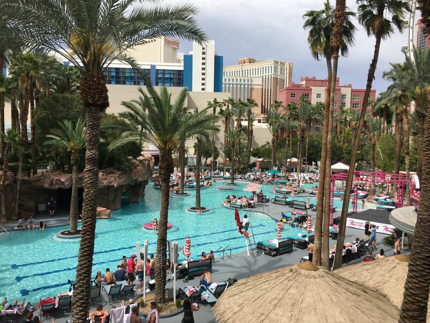 Las Vegas with kids - Flamingo Pool
