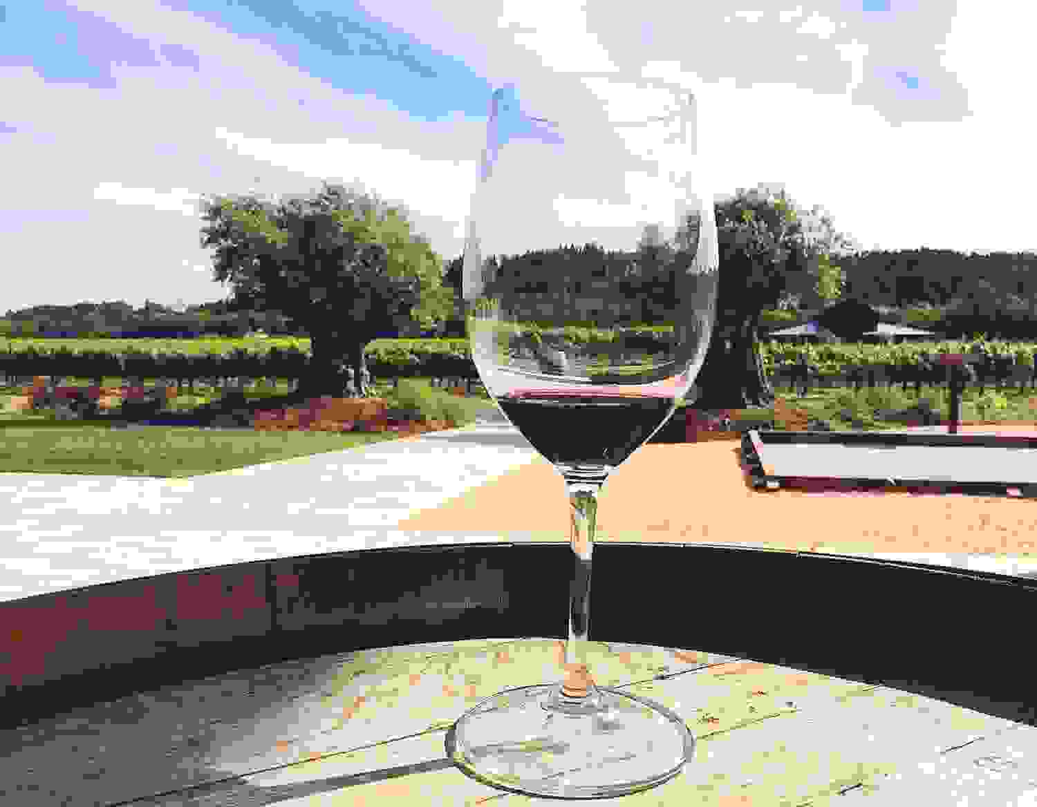 Photo of North California winery by Spencer Spellman.