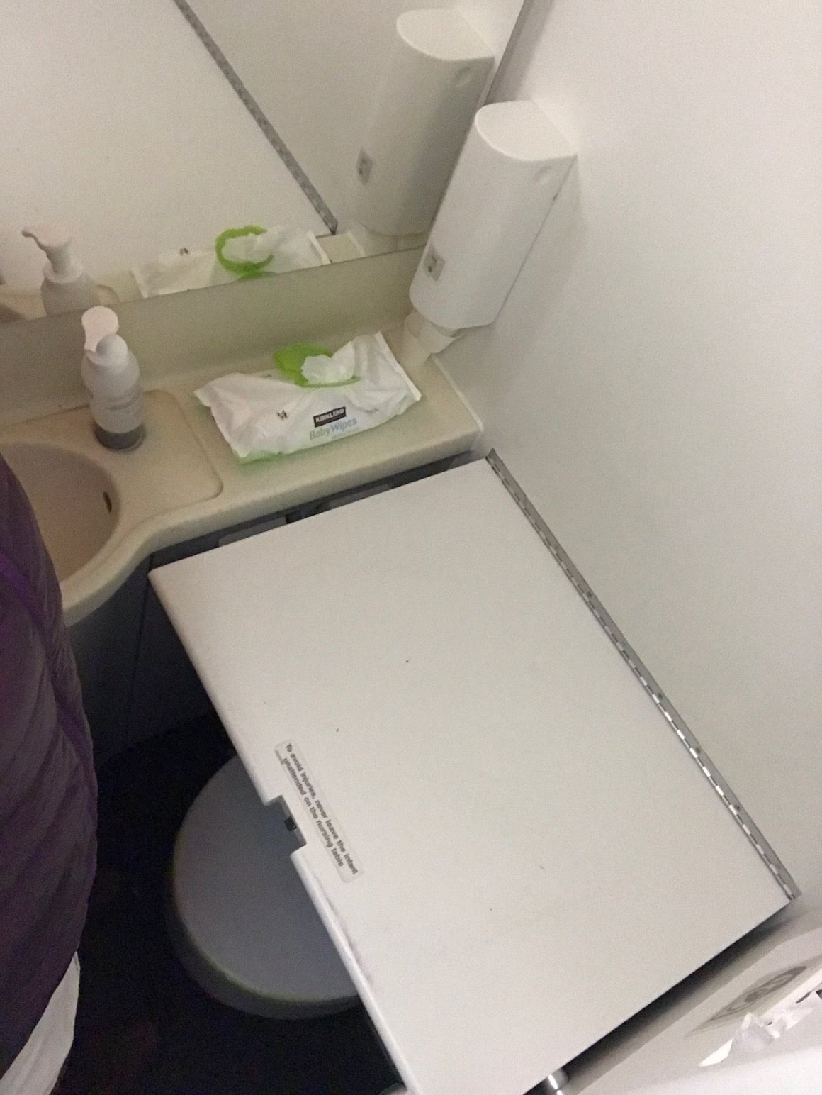 Lav changing table situation is, er, tight (Terry-Ward.com).