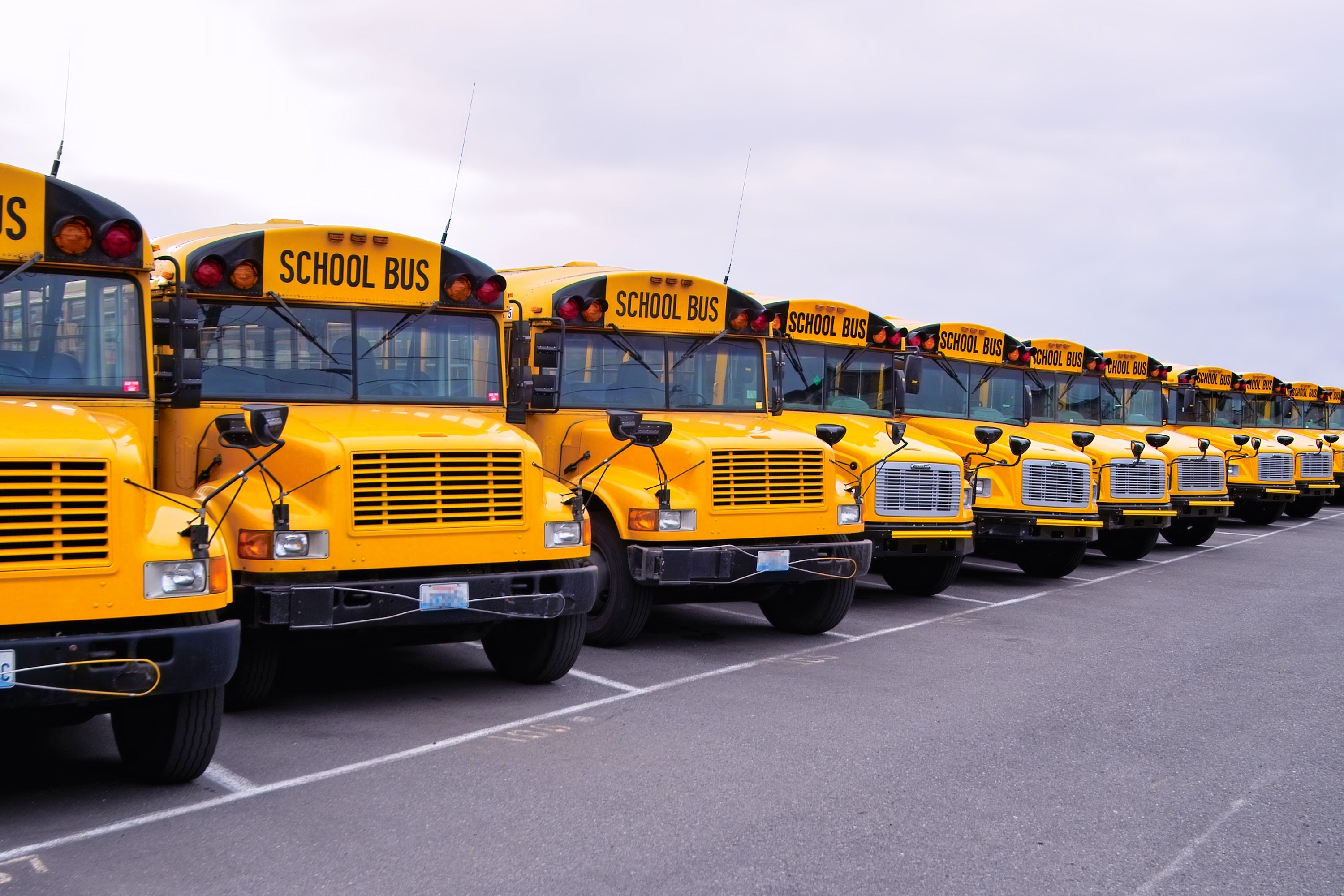 line of yellow school buses