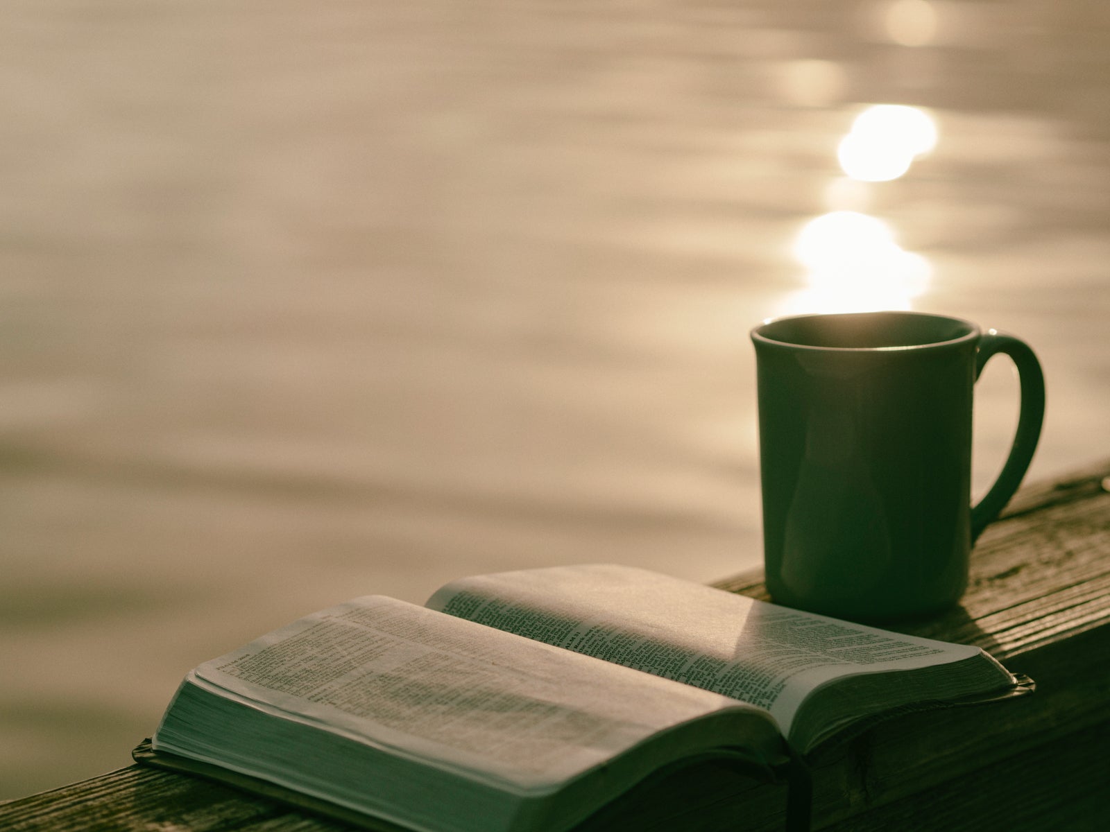 Coffee Cup Book by Lake