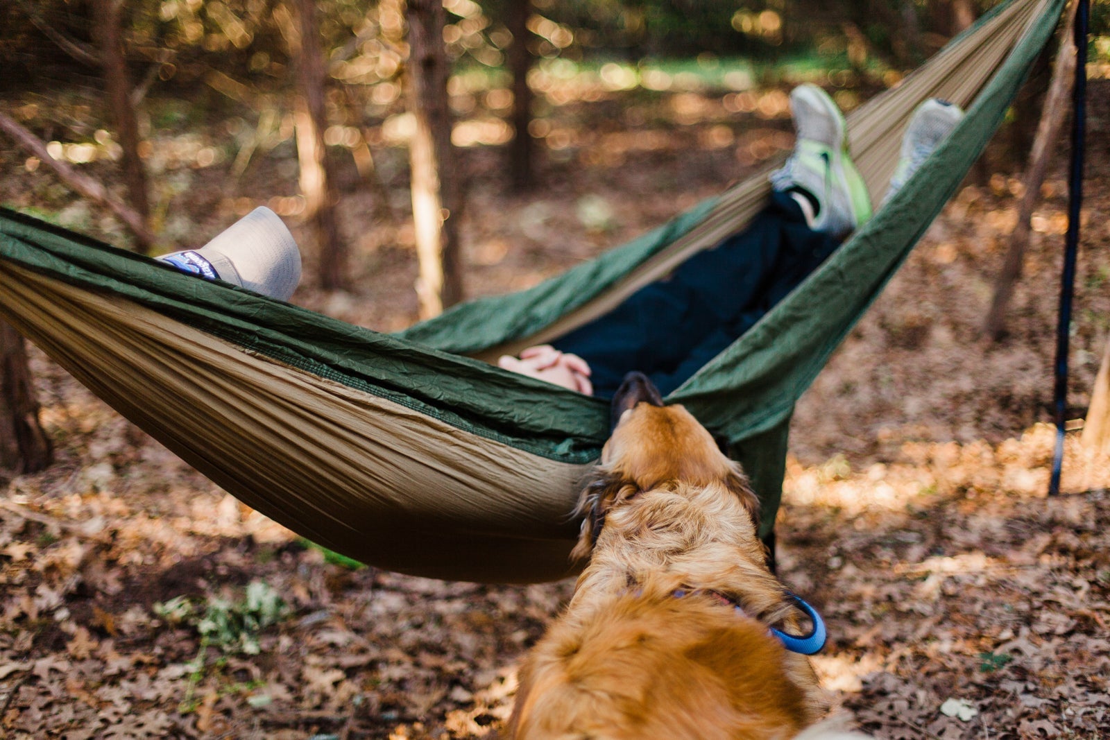 Man in hammock with dog in the woods