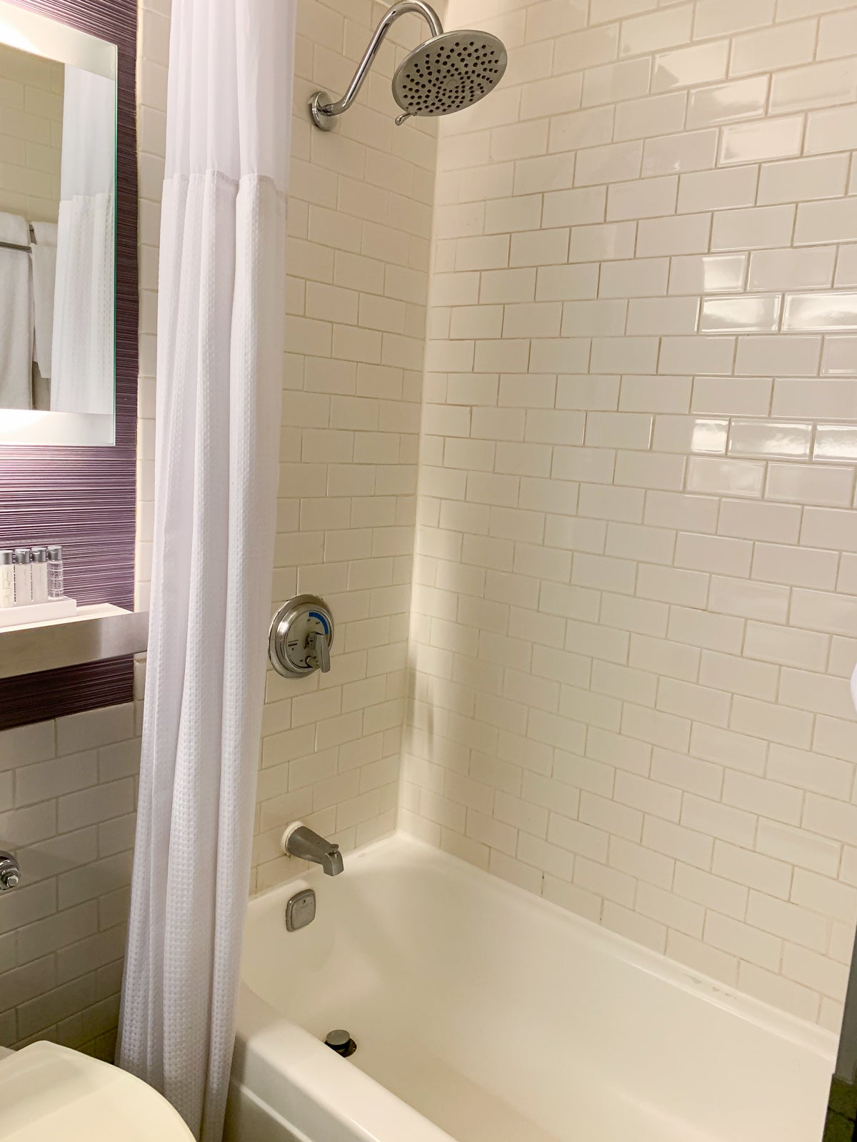 Maxwell Hotel NYC Shower