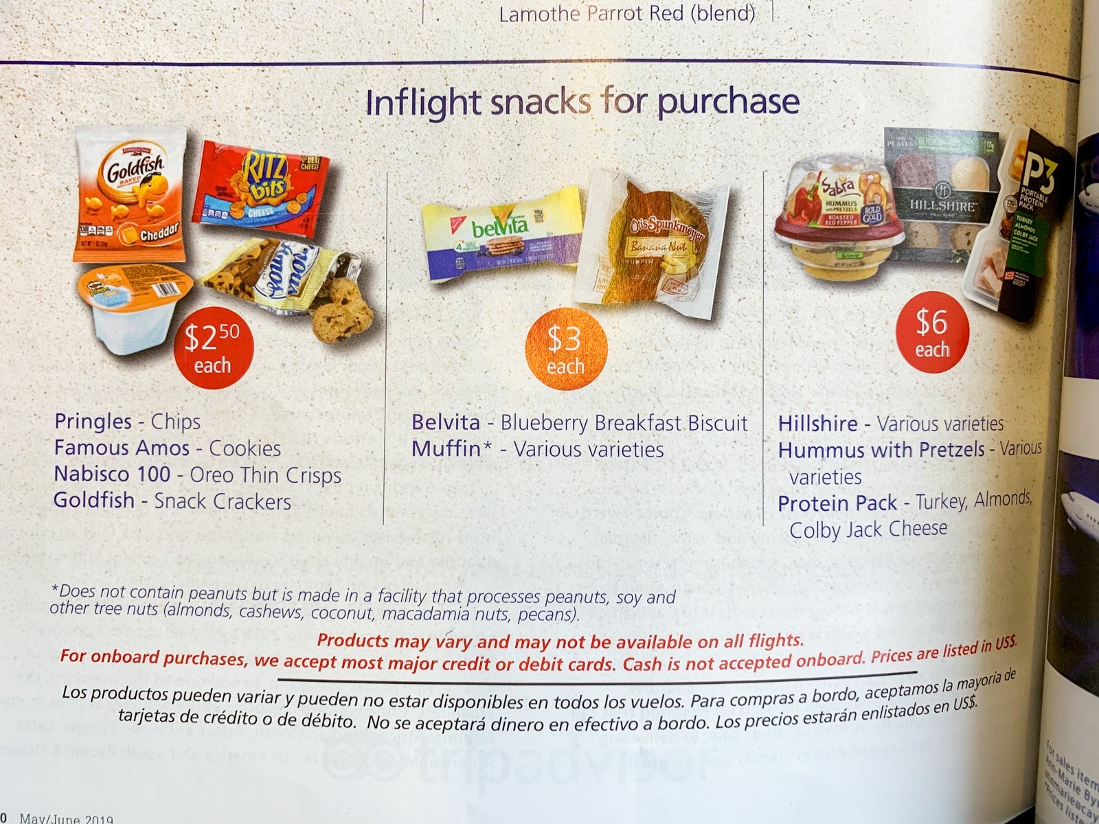 Cayman Airways Economy