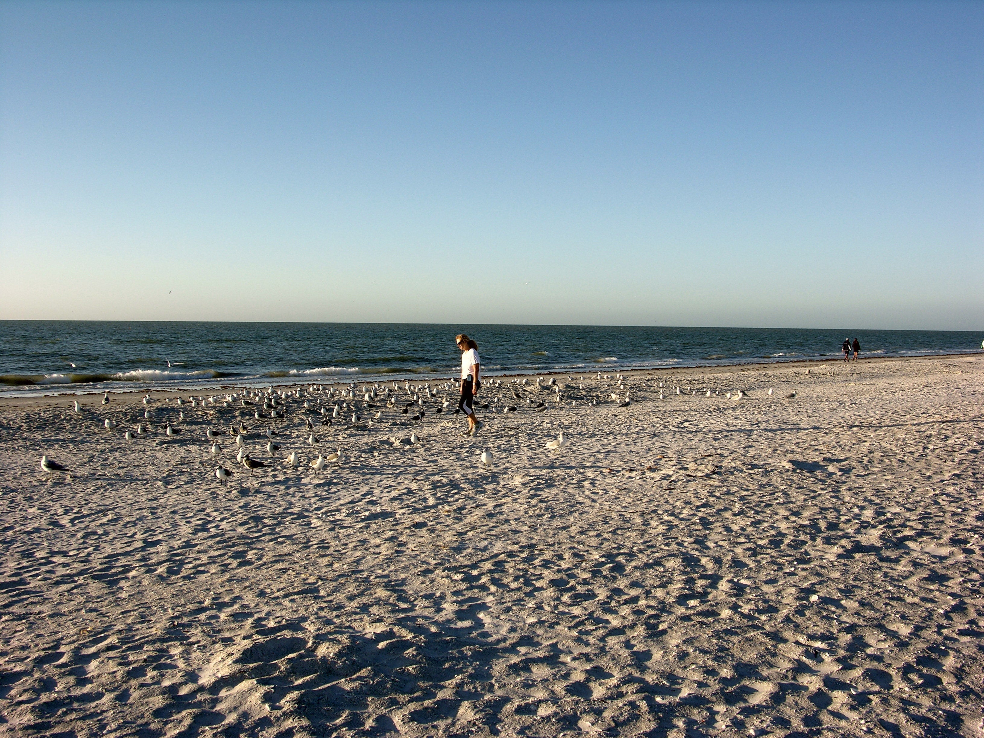 Sanibel beach