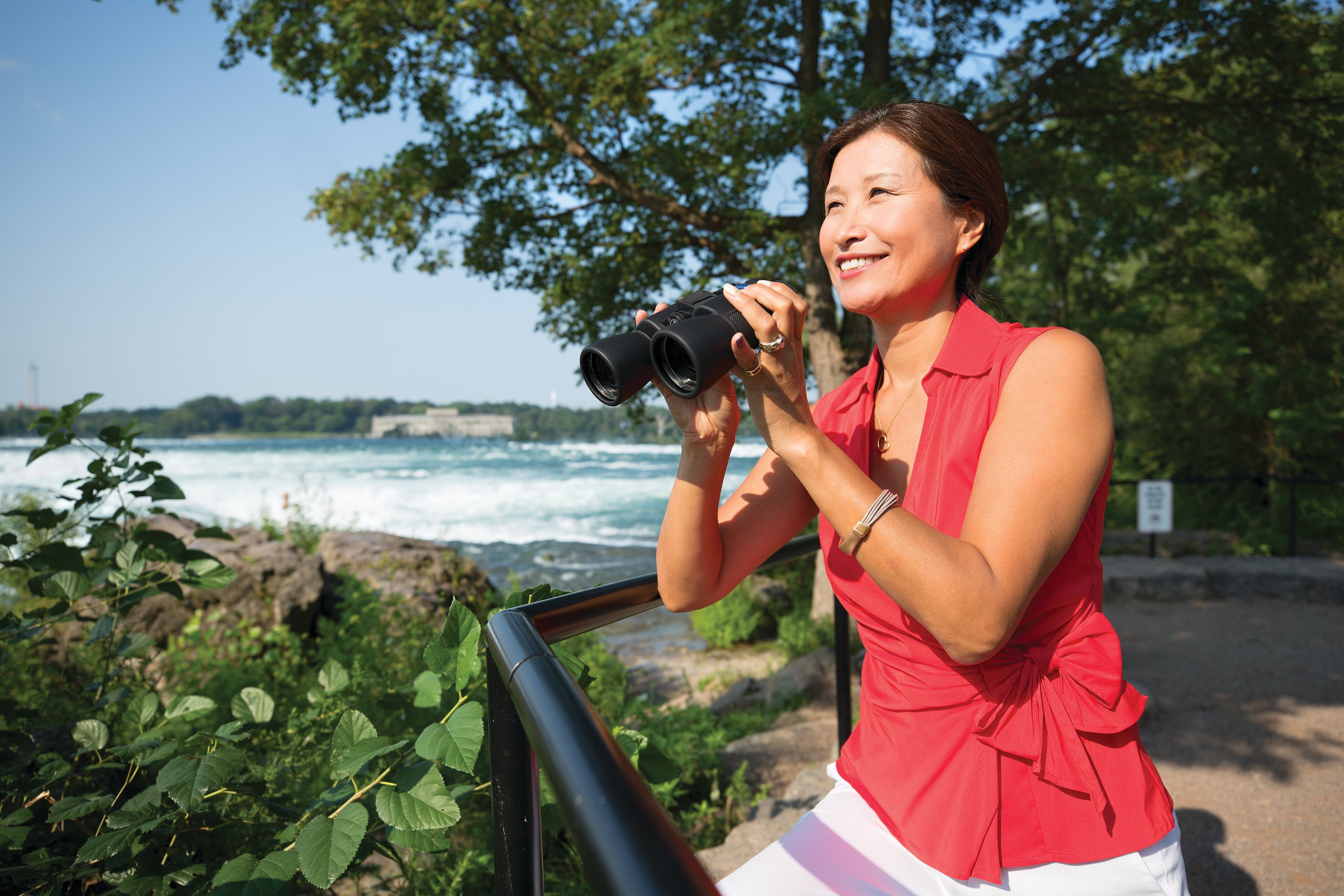 Niagara Falls - birding
