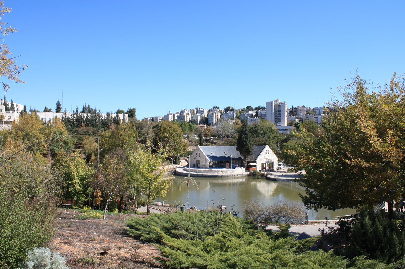 Jerusalem Botanical Garden