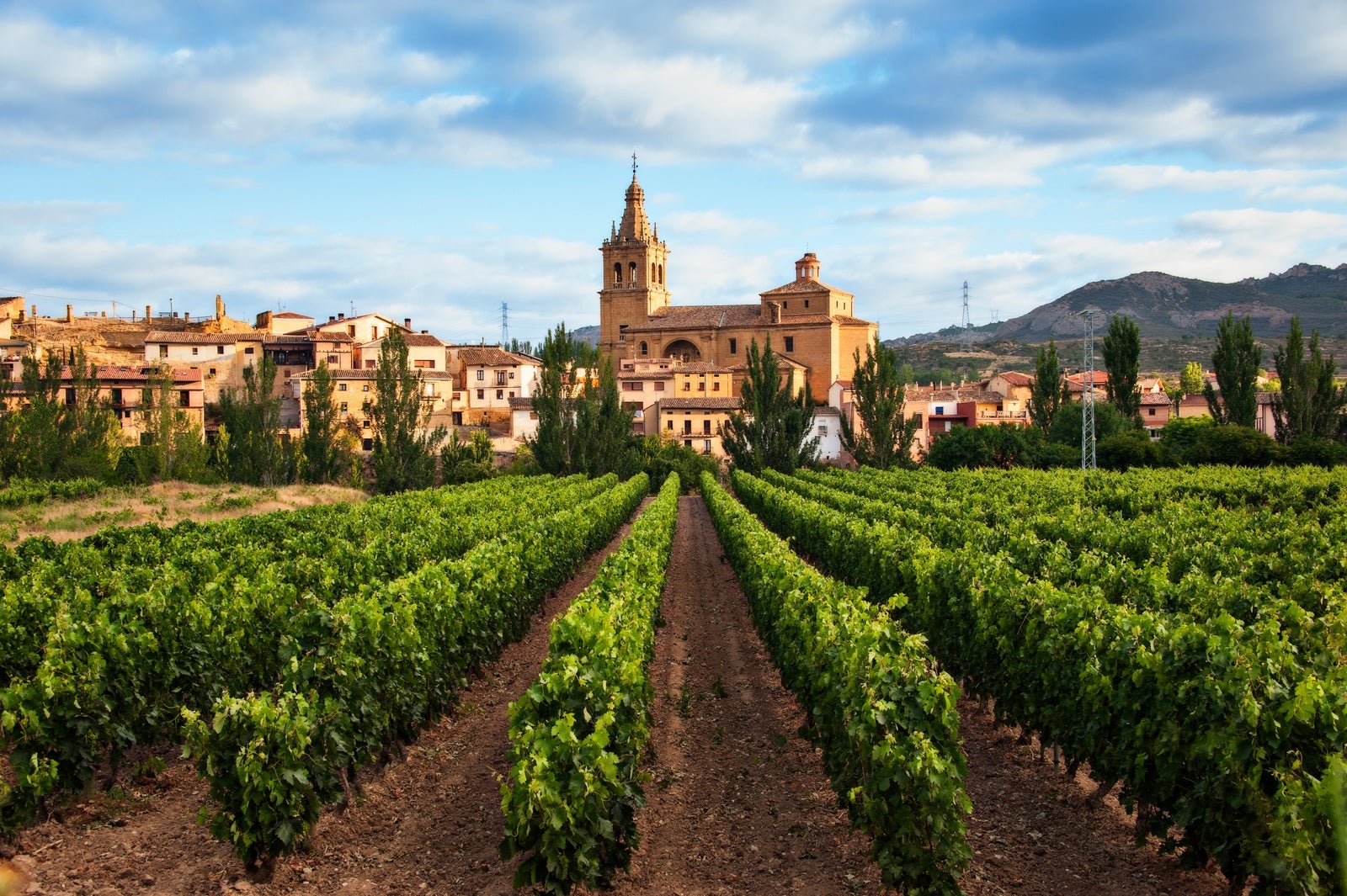 Vineyard and village of Briñas in the district of Haro